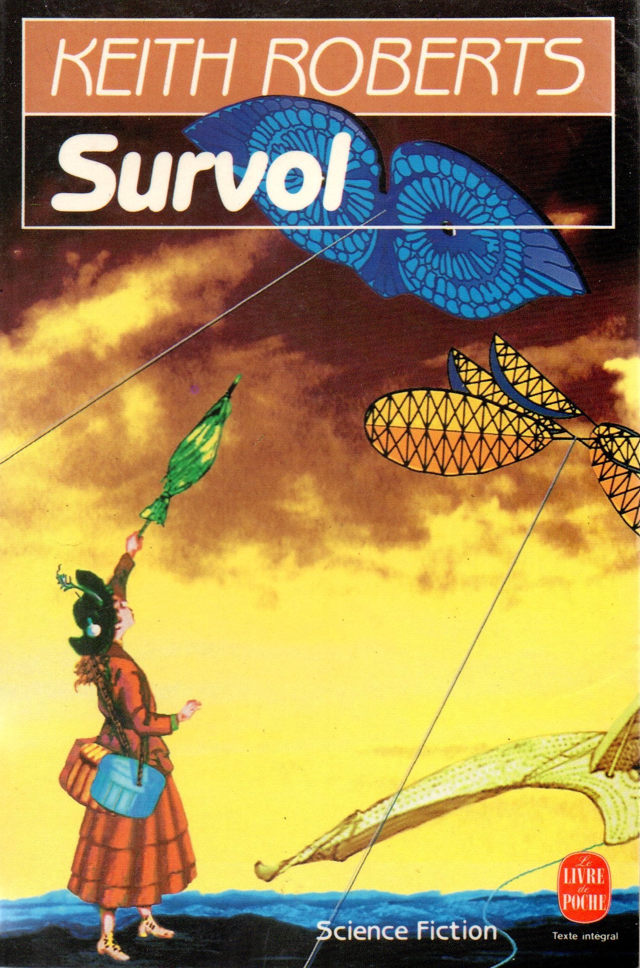 Survol 9782253064282