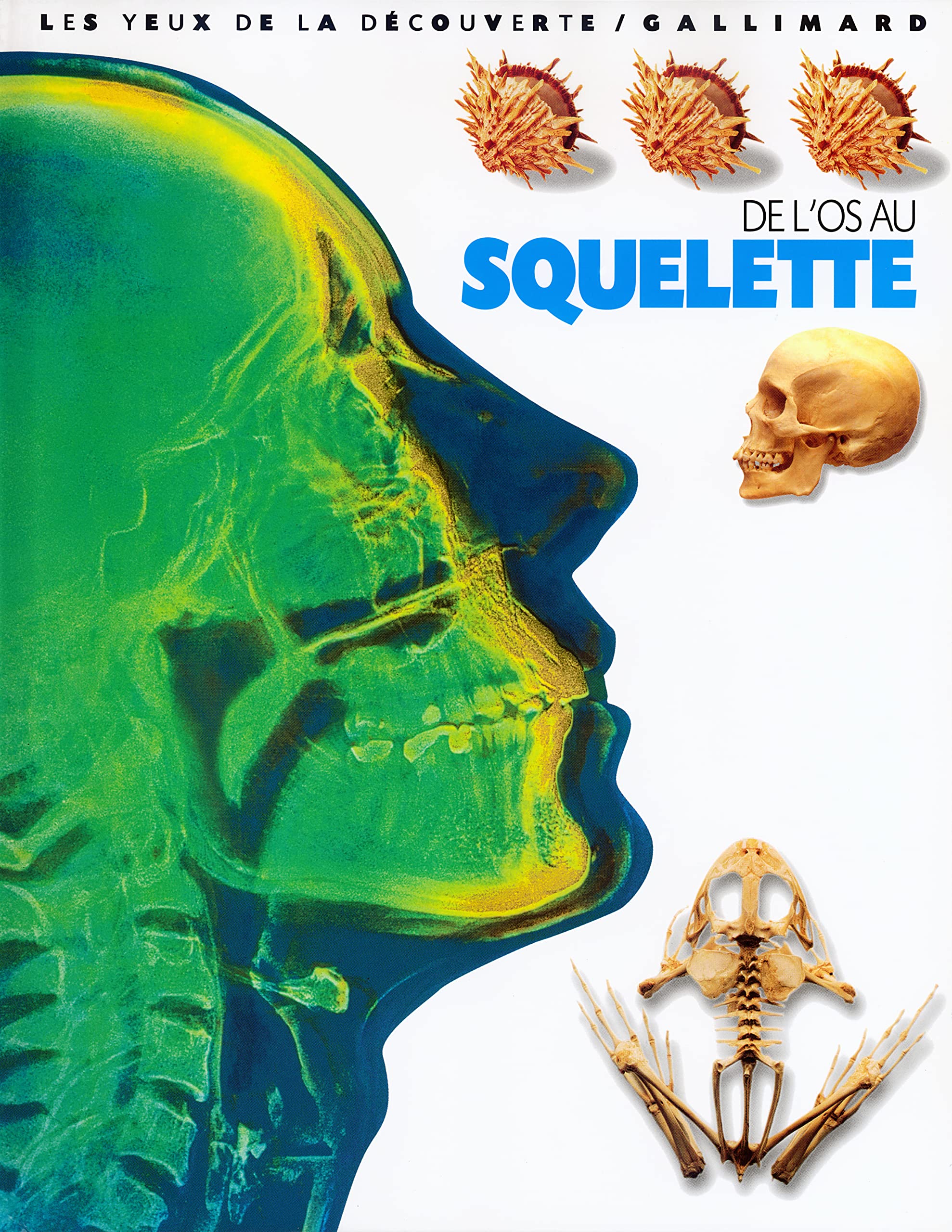 DE L'OS AU SQUELETTE 9782070536214