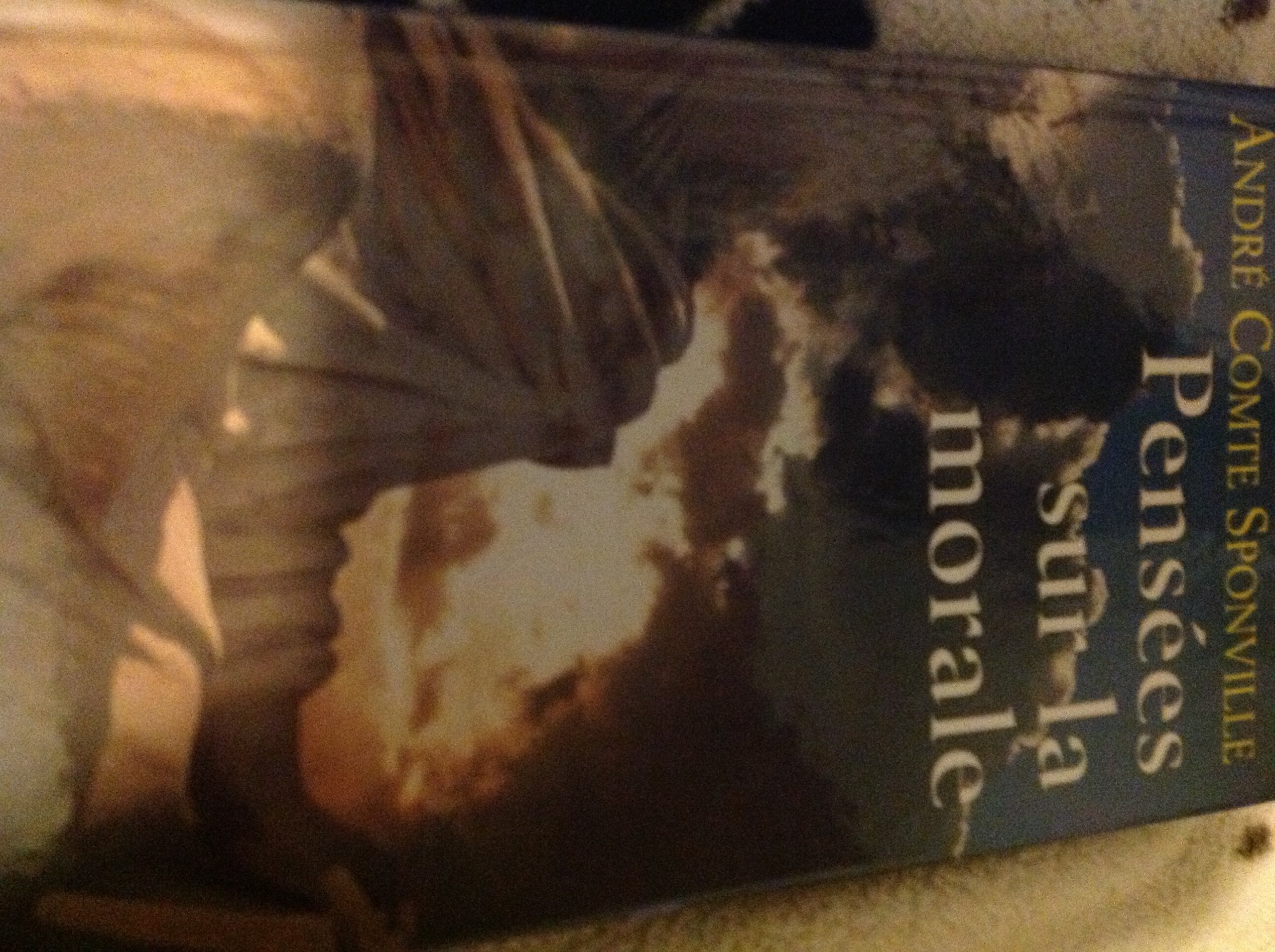 Pensées sur la morale 9782702815984