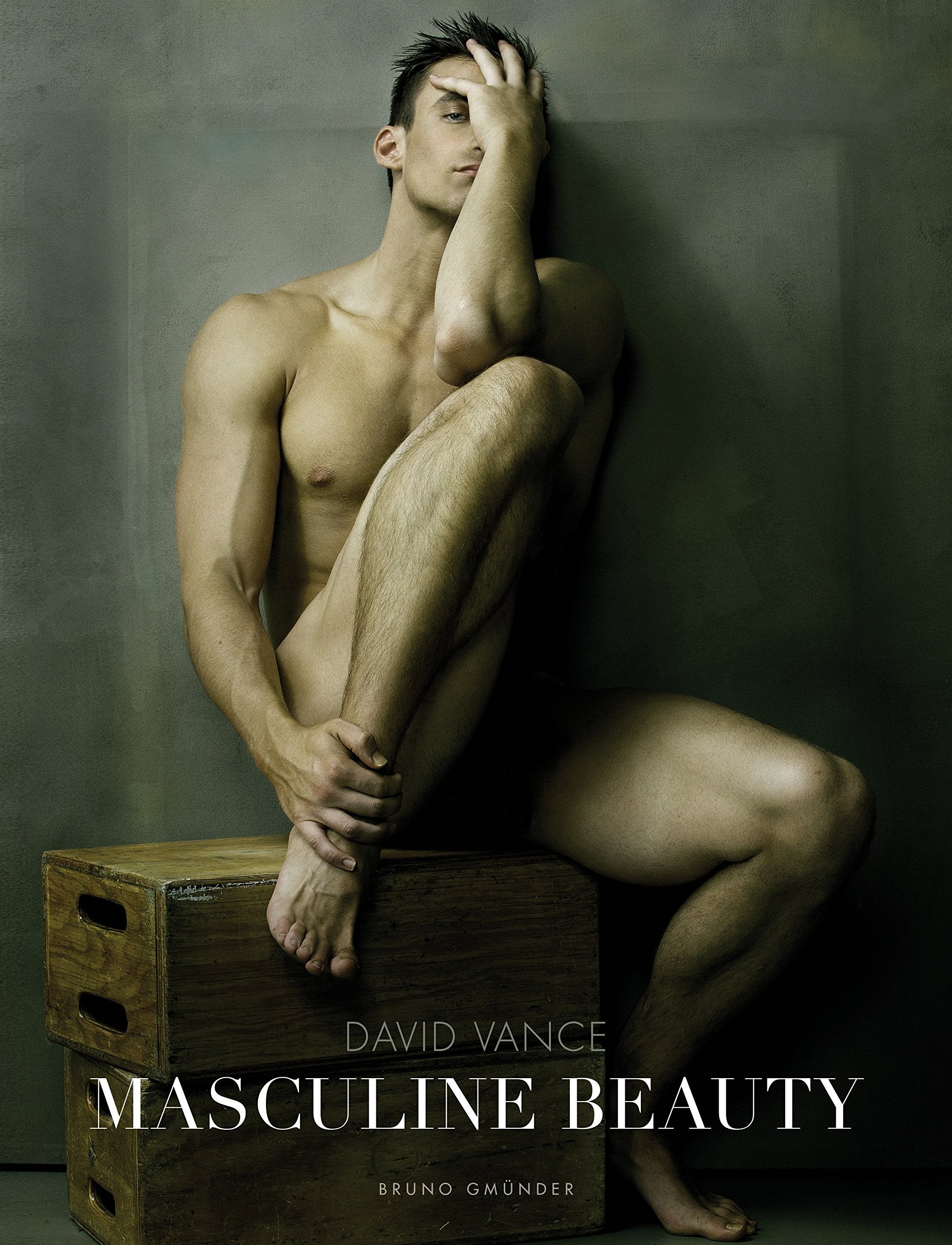 Masculine Beauty 9783867878371