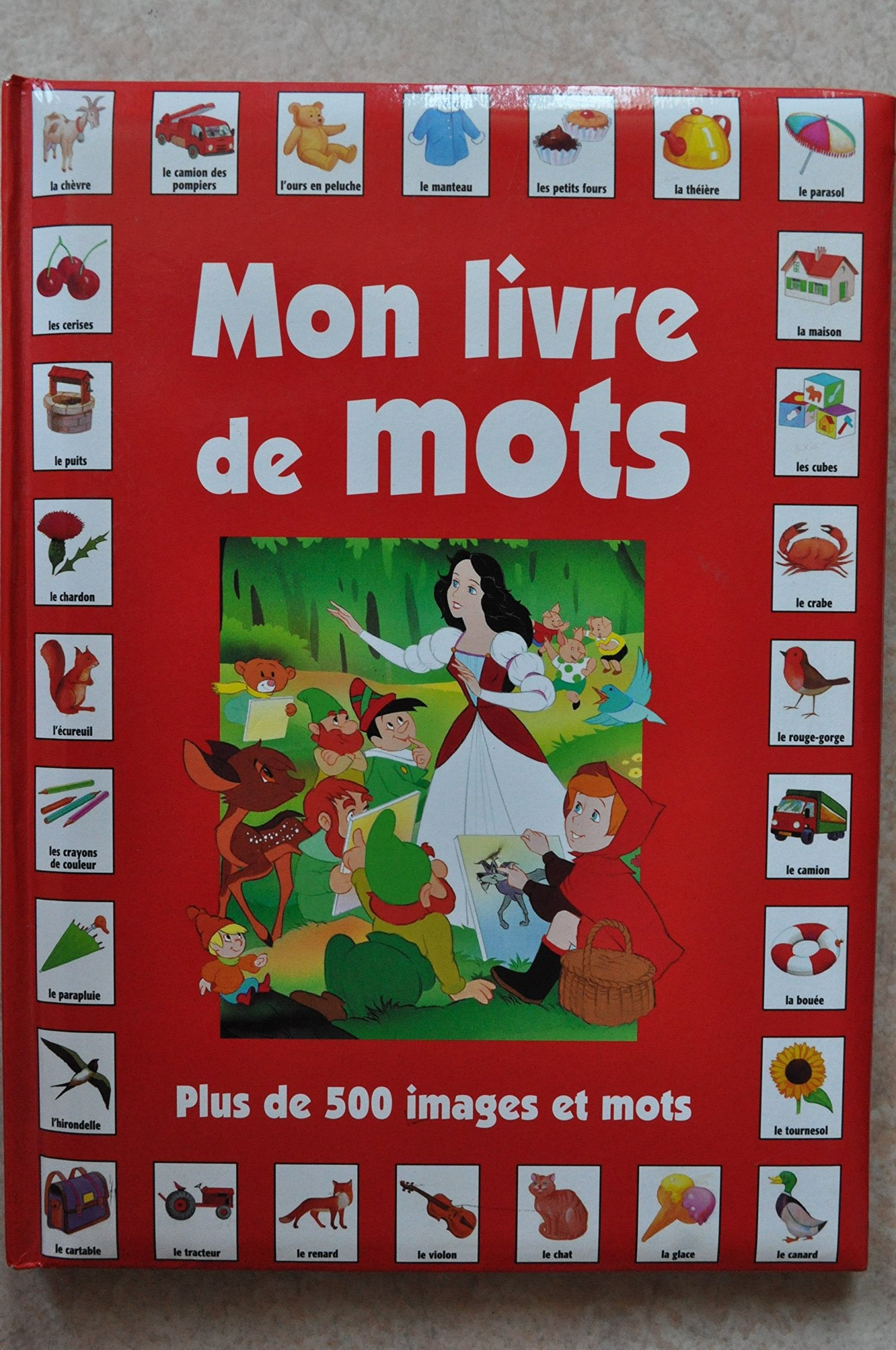Mon livre de mots 9782754200141