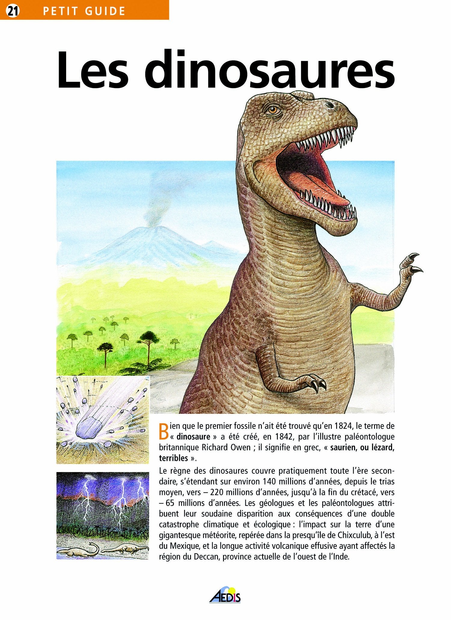 PG021 - Les dinosaures 9782842590246