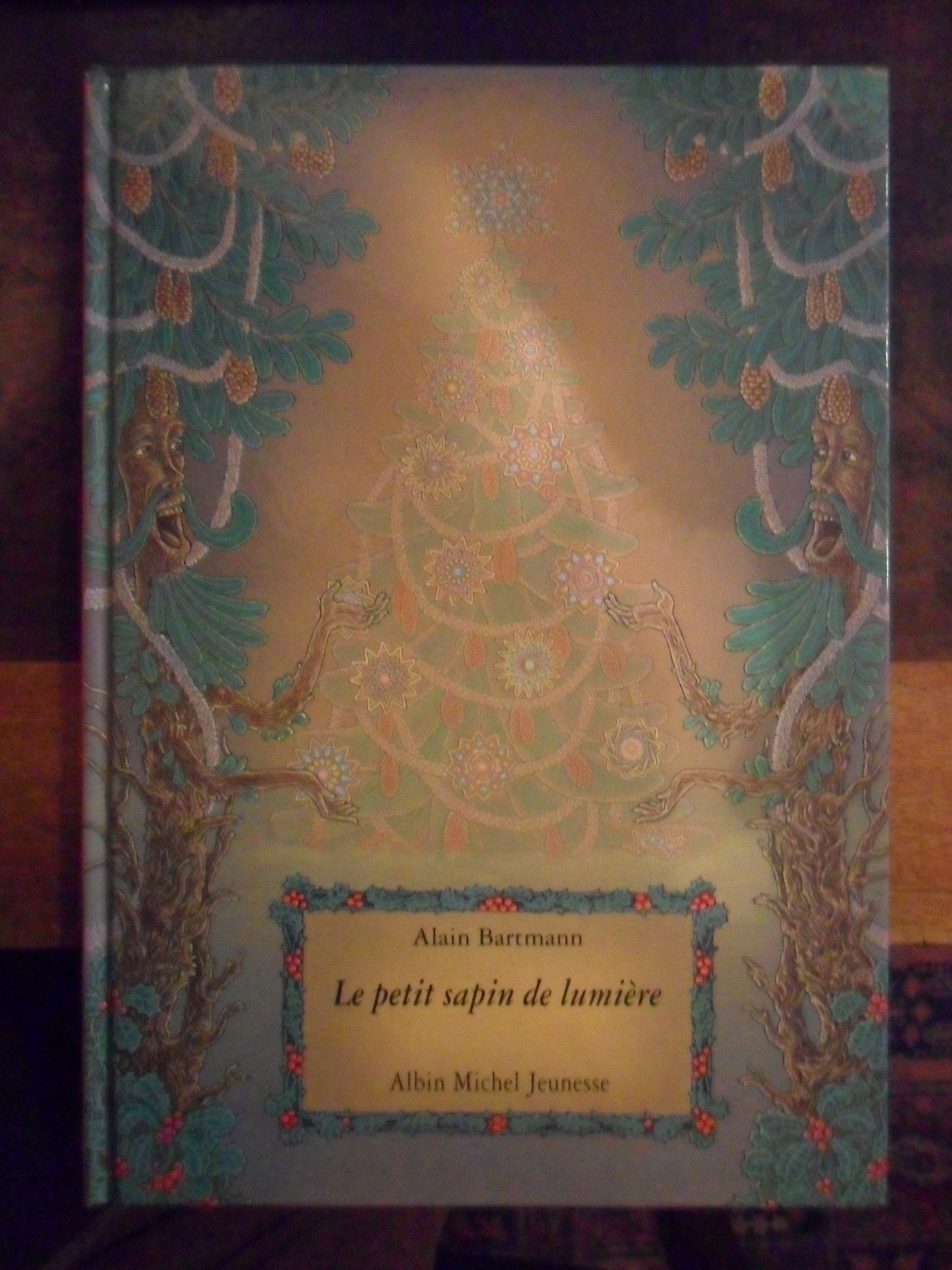 Le Petit Sapin de lumière 9782226058010