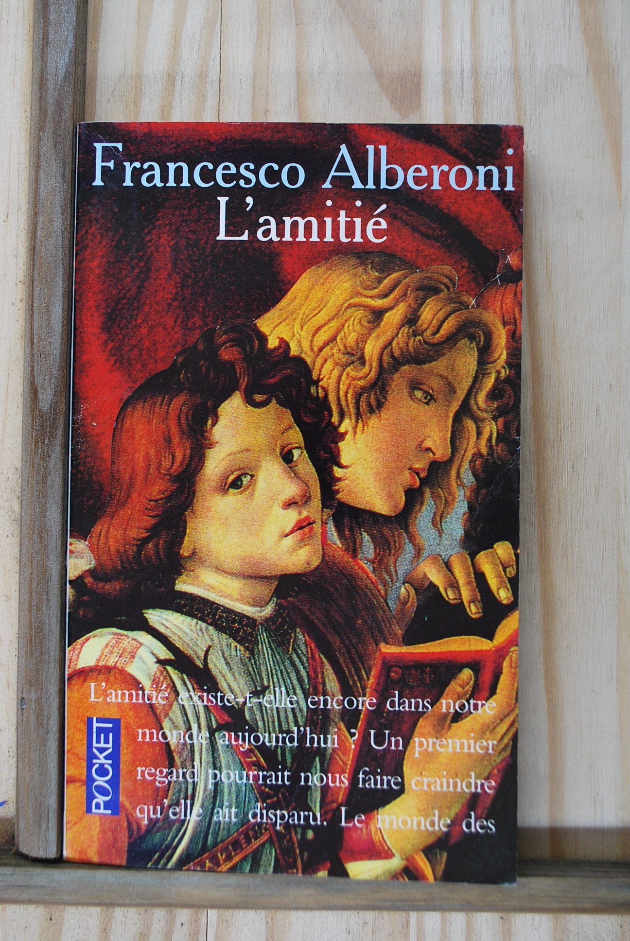 AMITIE 9782266062244