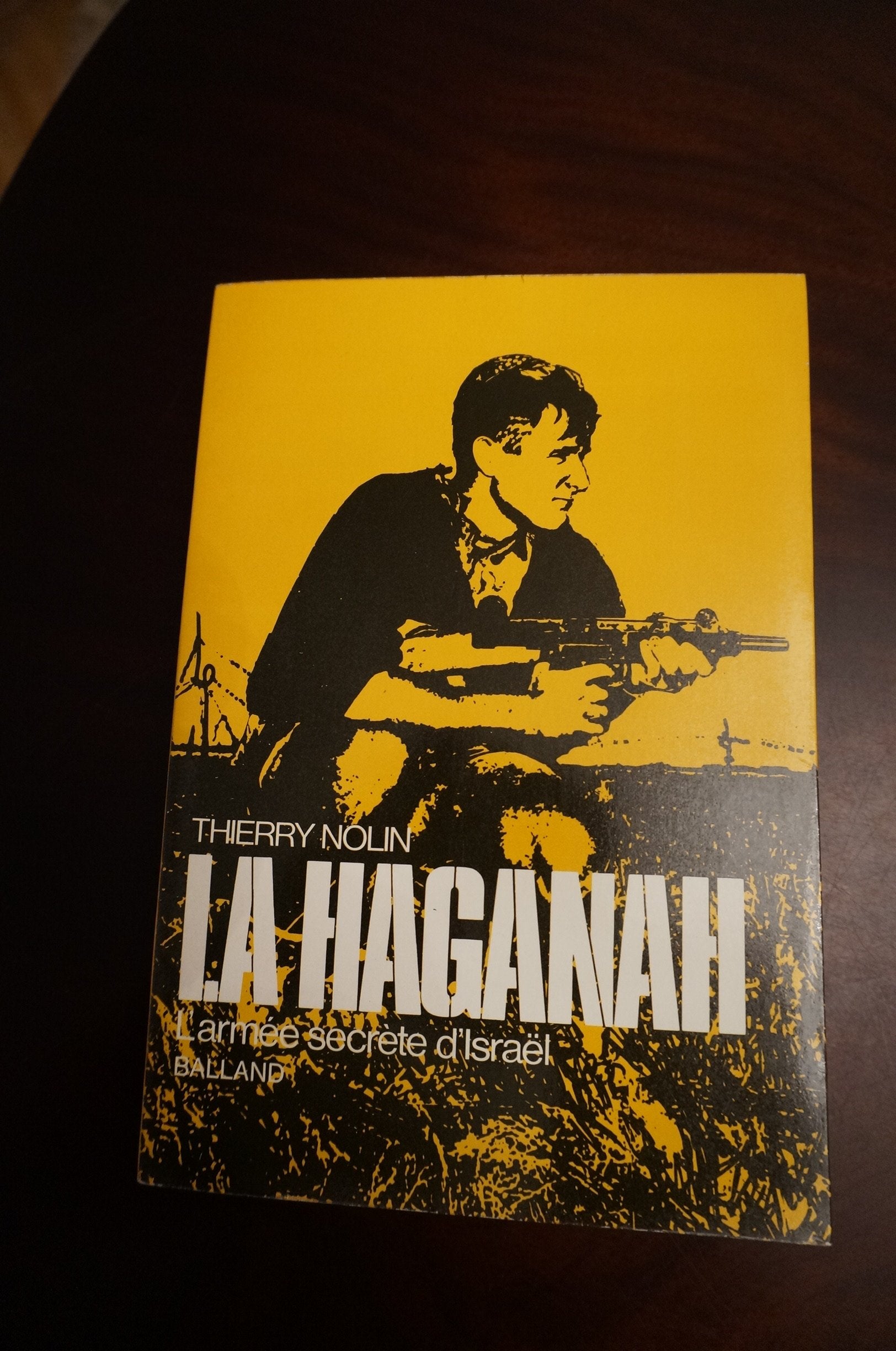 La Haganah, l'armée secrète d'Israël. 