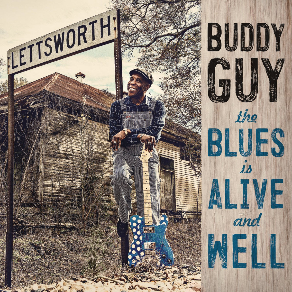 The Blues Is Alive and Well 9786317346512