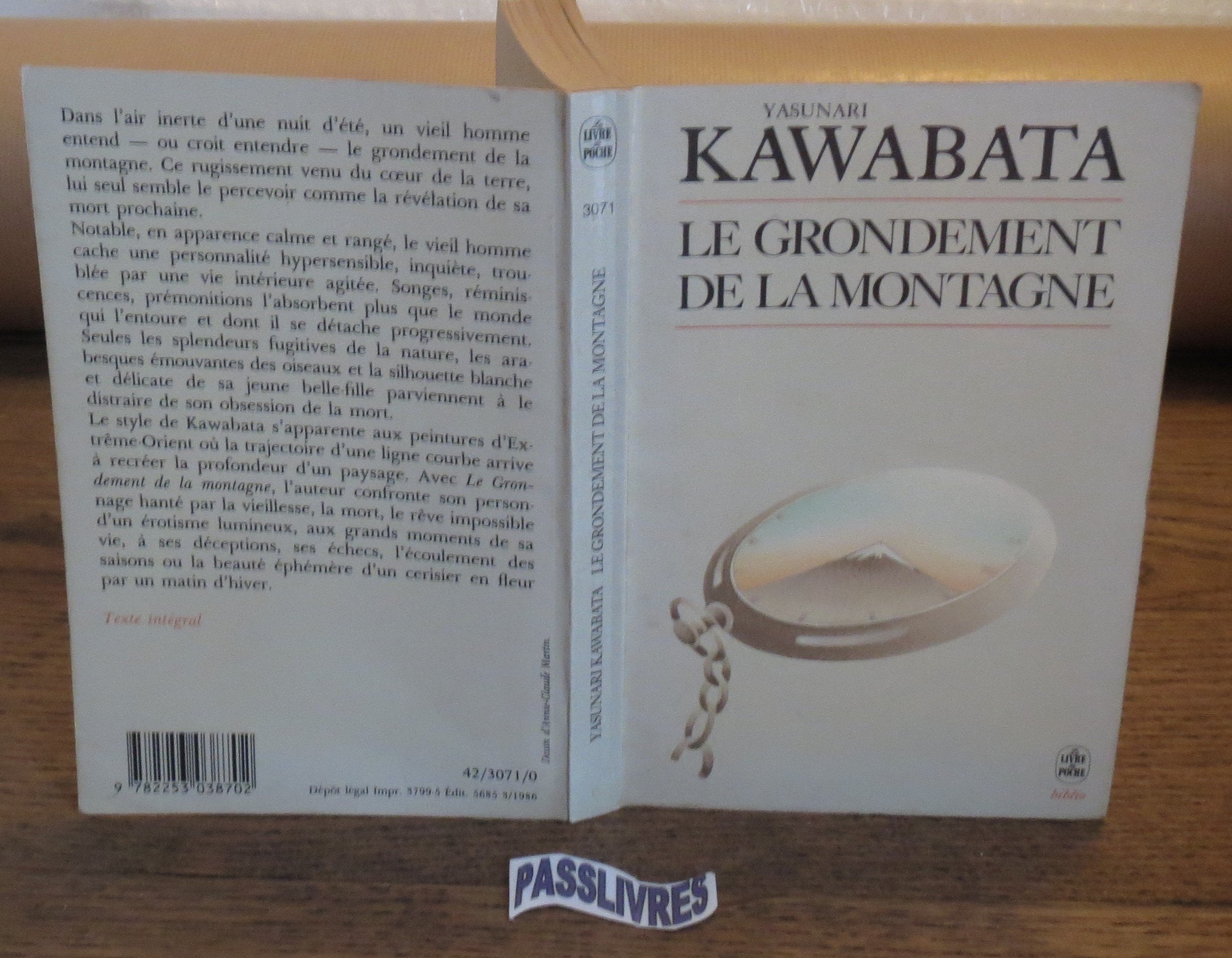Le Grondement de la montagne 9782253038702