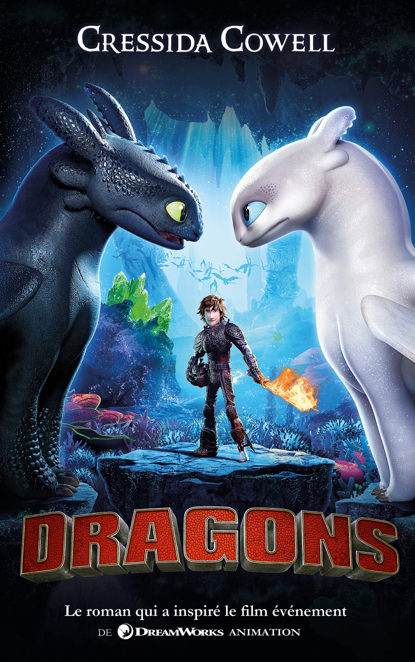 Harold et les dragons - Tome 1 - Tie-in: Comment dresser votre dragon 9782016212523