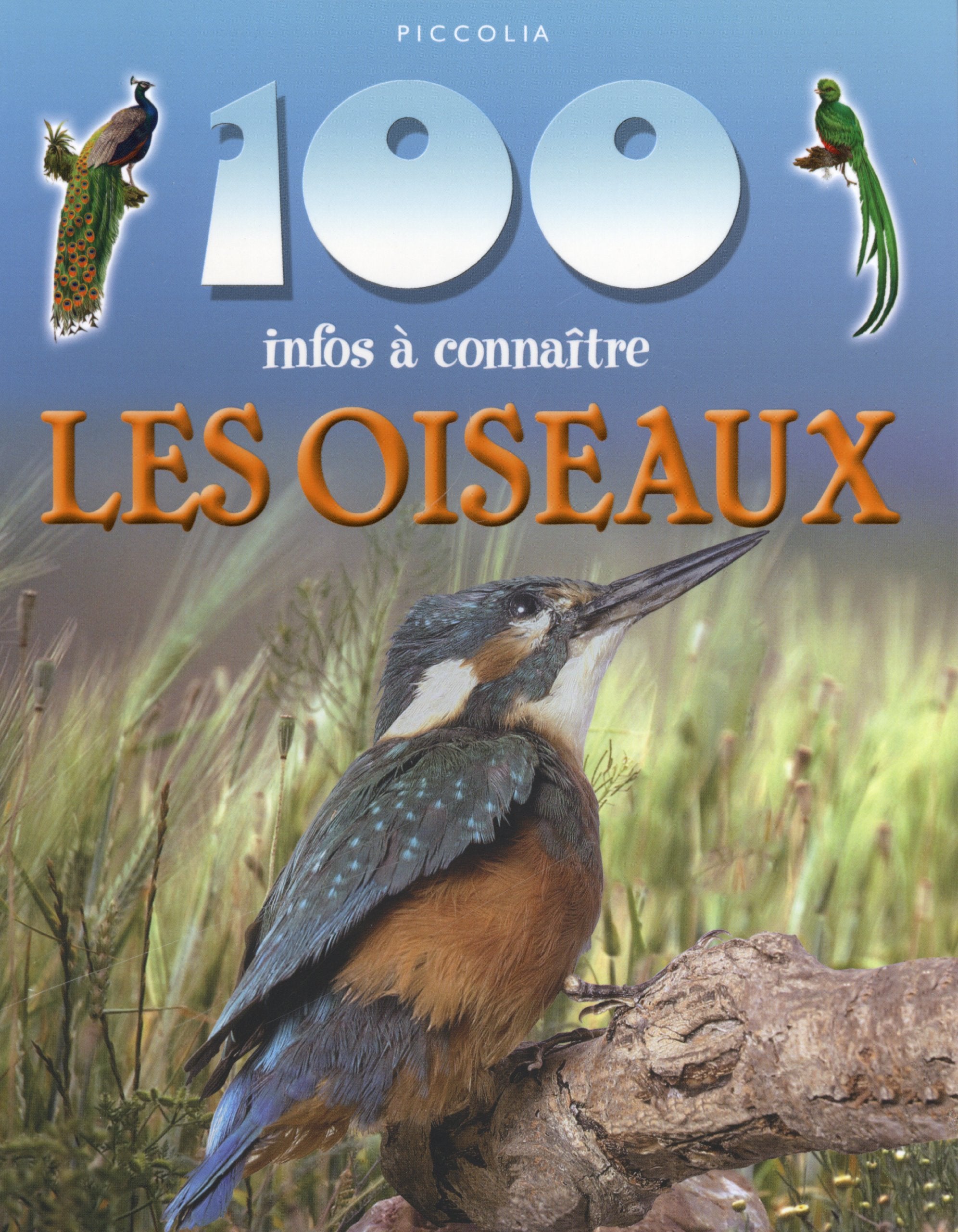 Les oiseaux 9782753023321