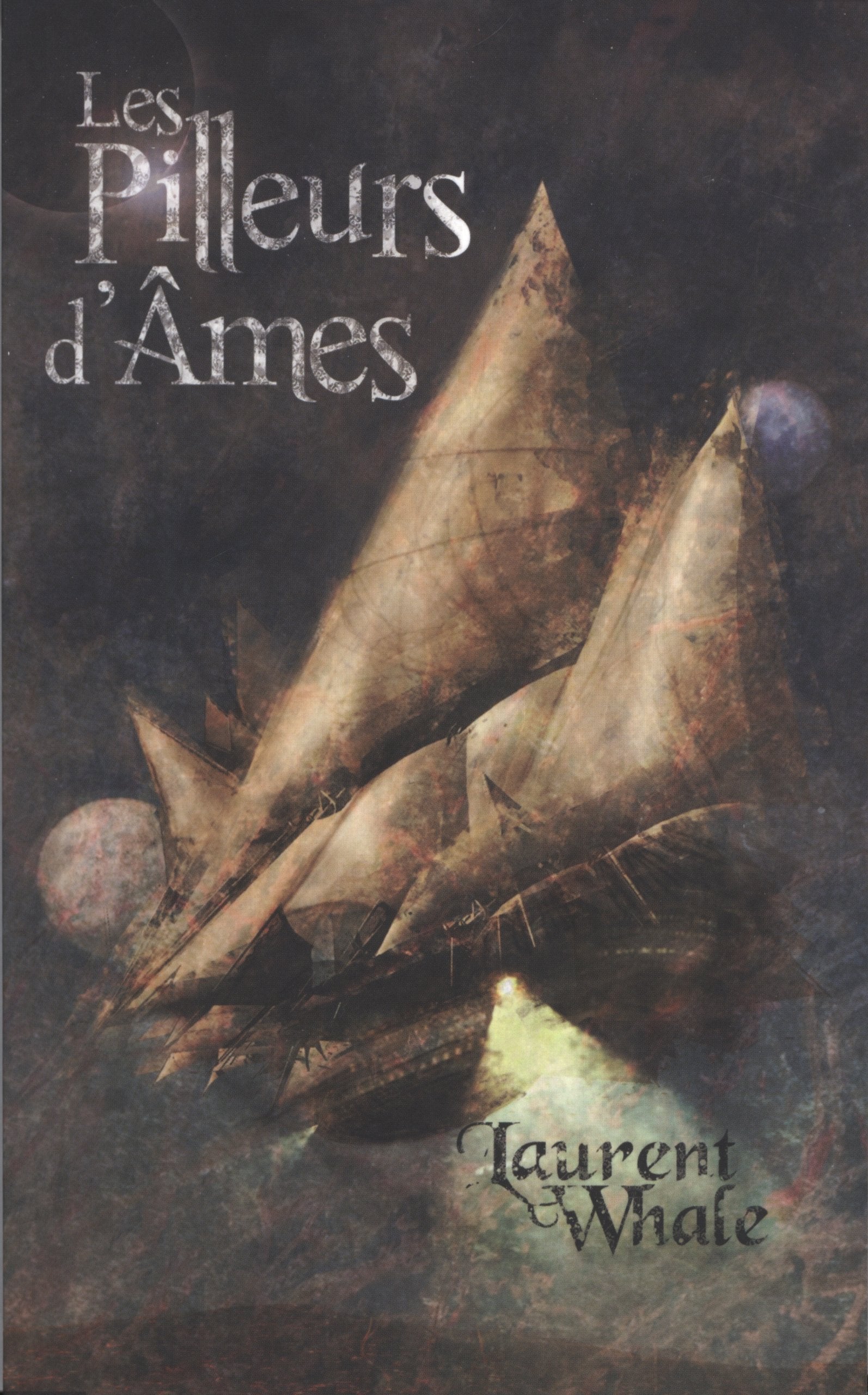 Les pilleurs d'âmes 9782919241002