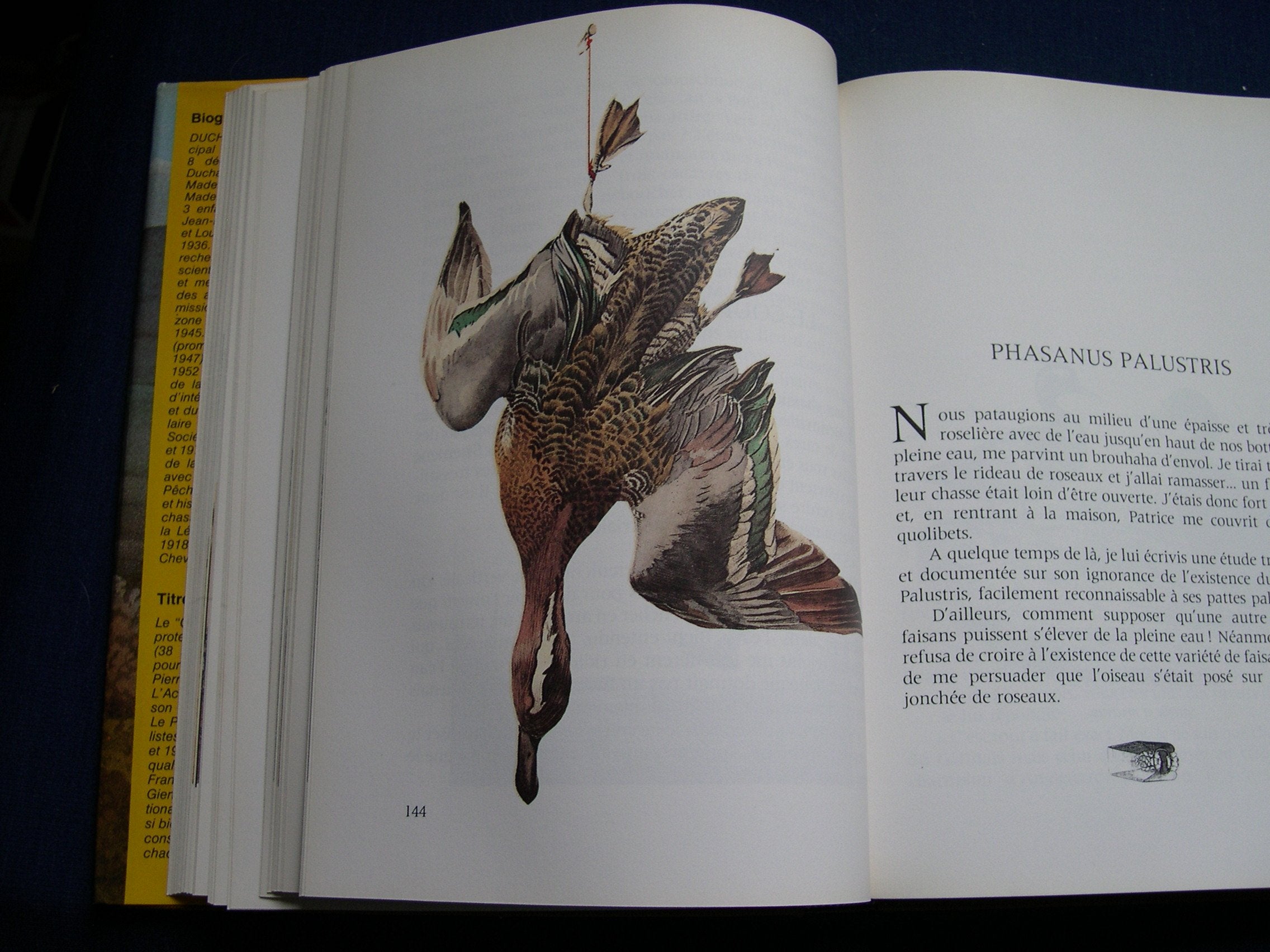 Non renseigné 9782733900611