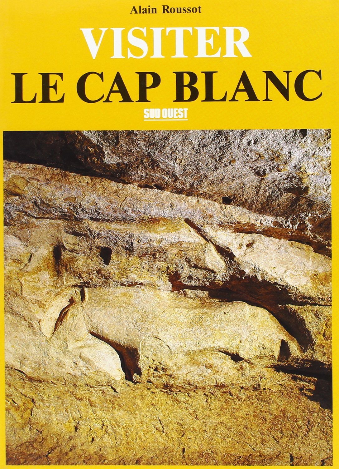CAP BLANC (LE) (VISITER) 9782879011028