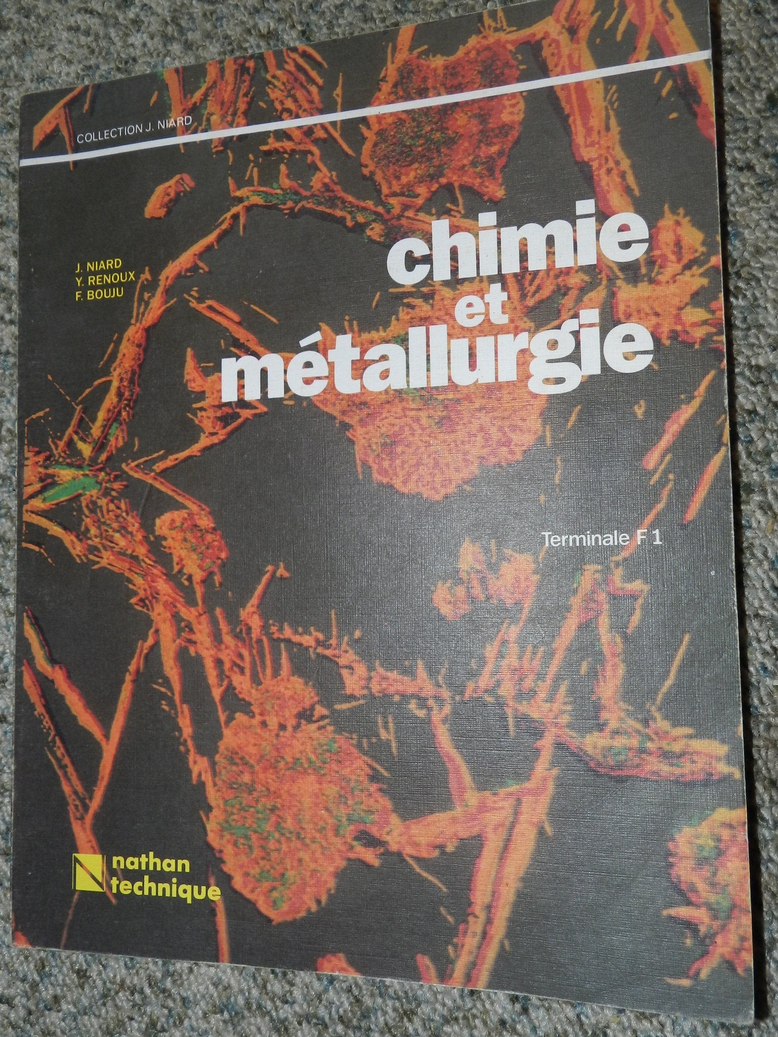 Chimie et métallurgie: Classe de terminale F1 9782091814223