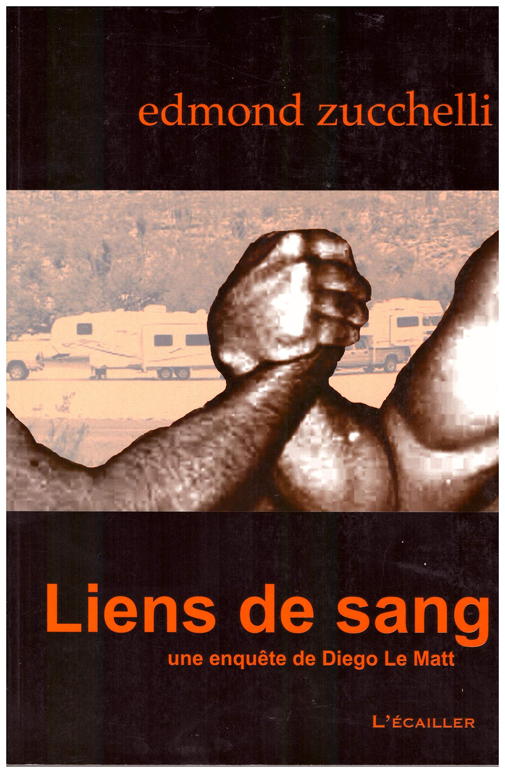 Liens de sang : Une enquête de Diego Le Matt 9782352990147