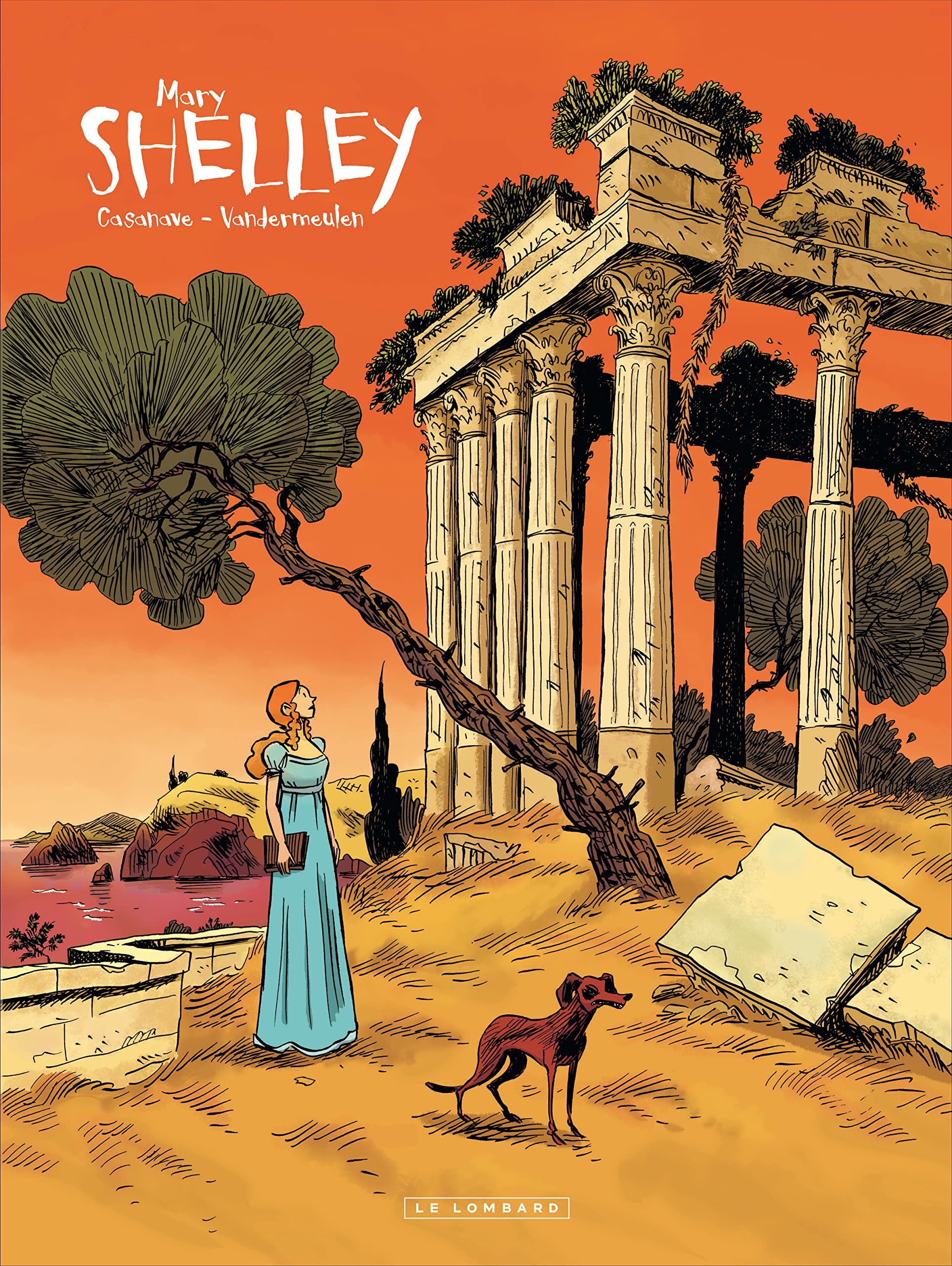 Shelley, tome 2 : Mary 9782803628643