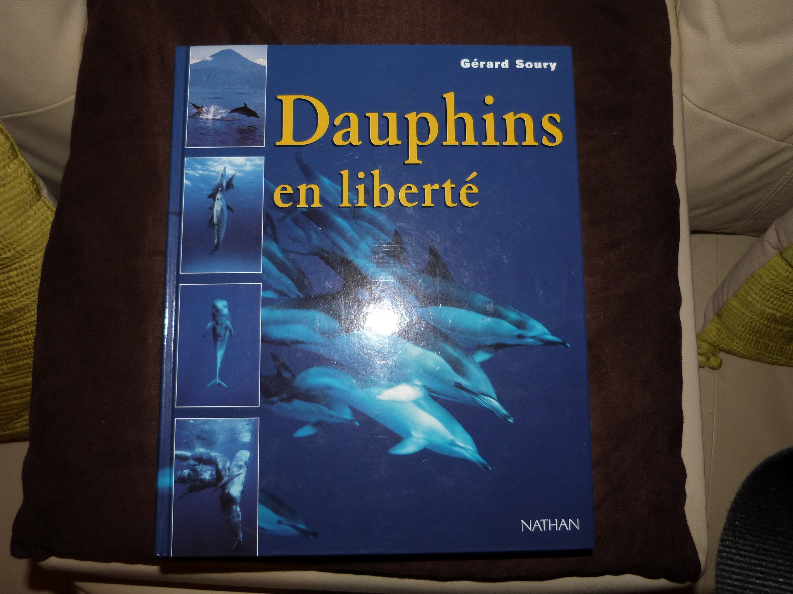 Dauphins en liberté 9782092605325