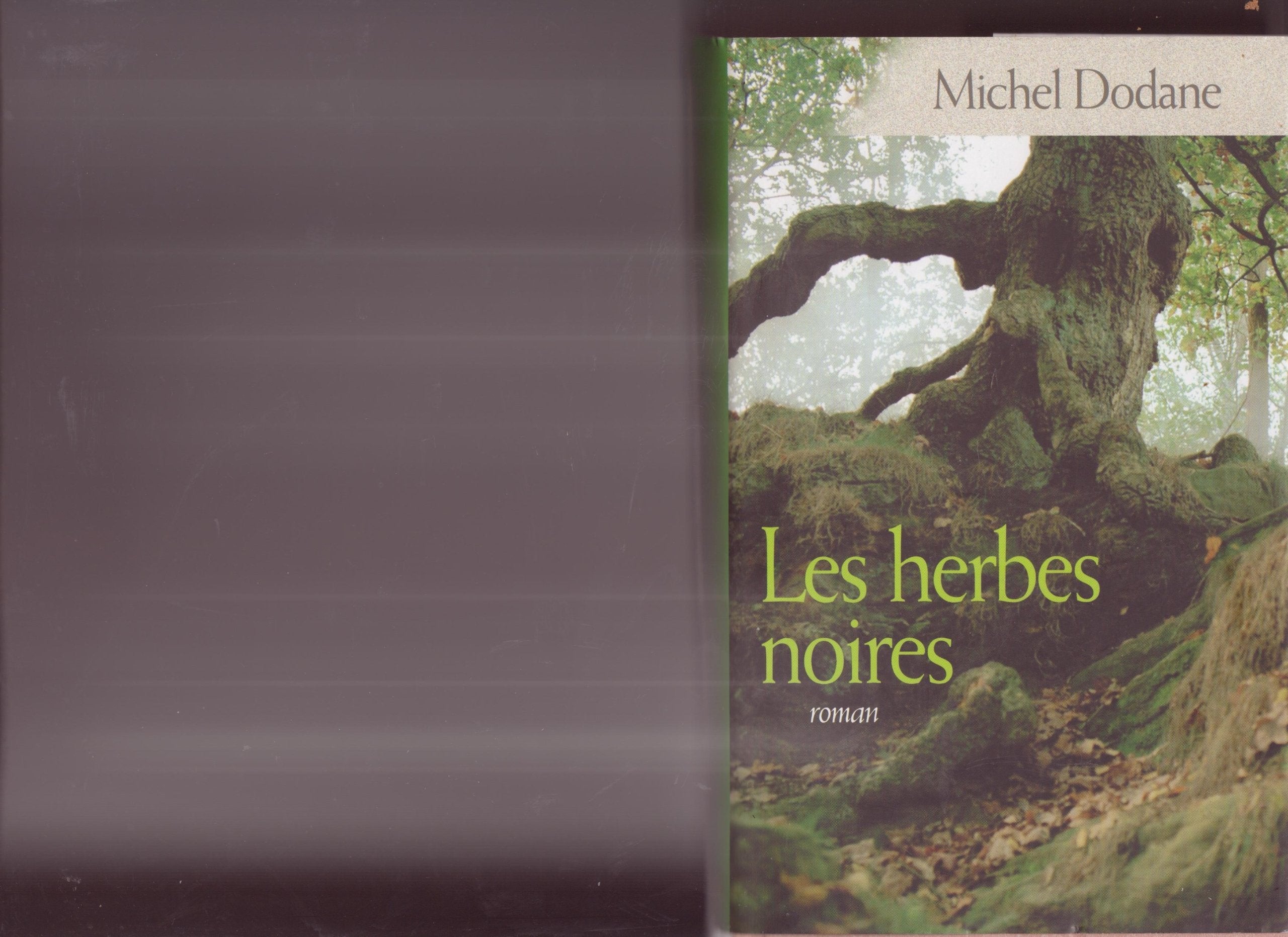 Les herbes noires (Les enfants de la Vouivre) 9782744198359