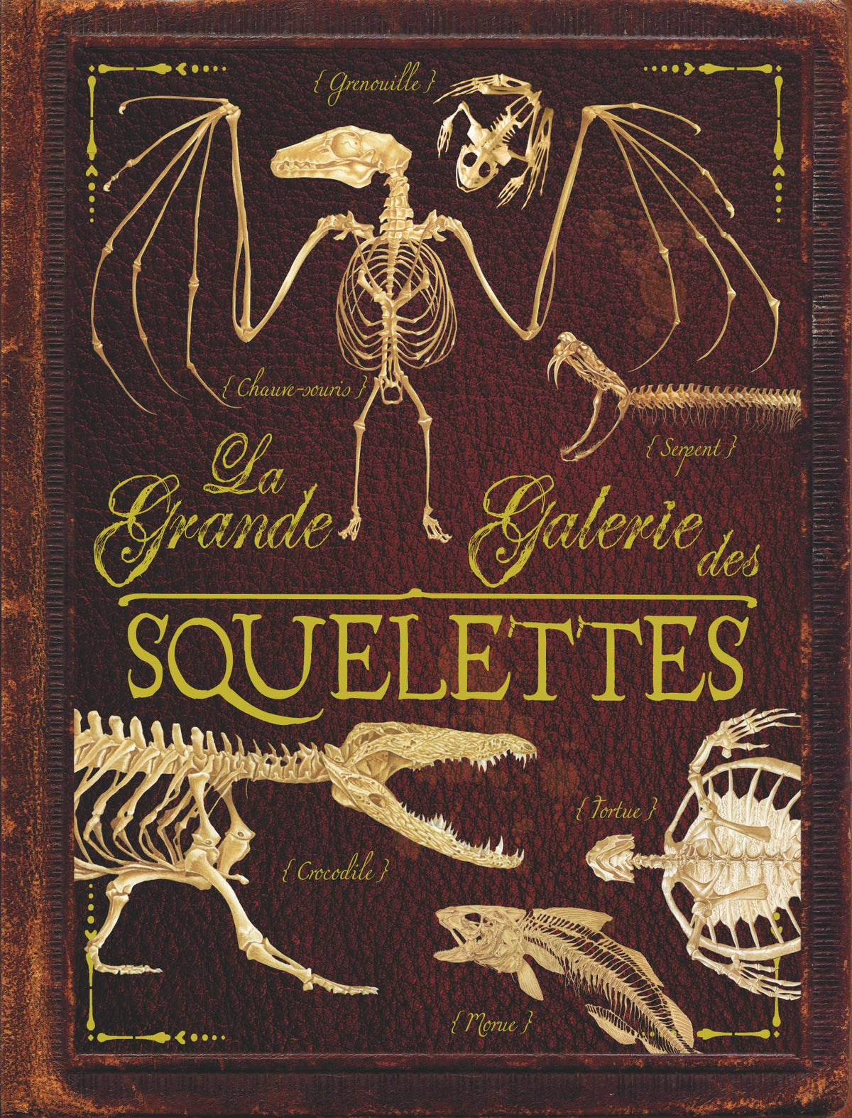 La grande galerie des squelettes 9782203081185