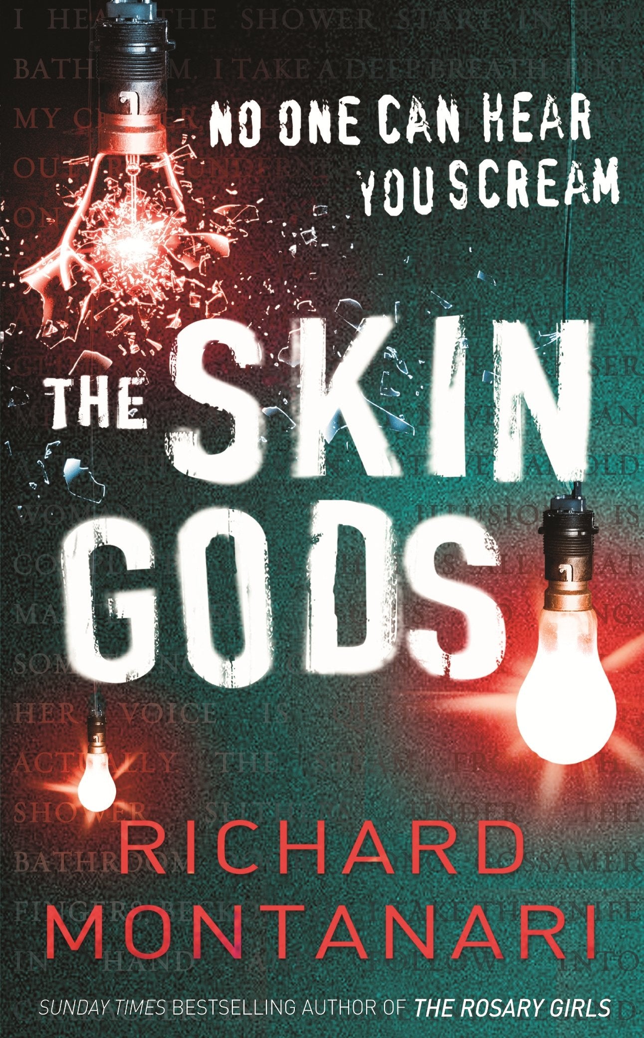 The Skin Gods: (Byrne & Balzano 2) 9780099486893