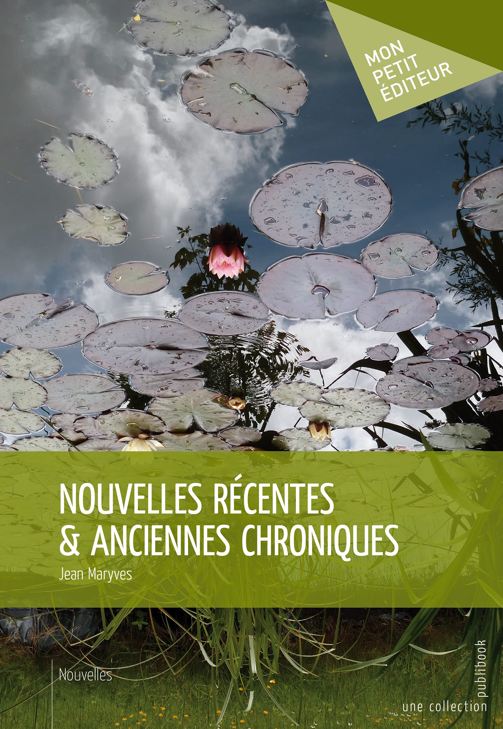Nouvelles récentes & anciennes chroniques 9782342021103