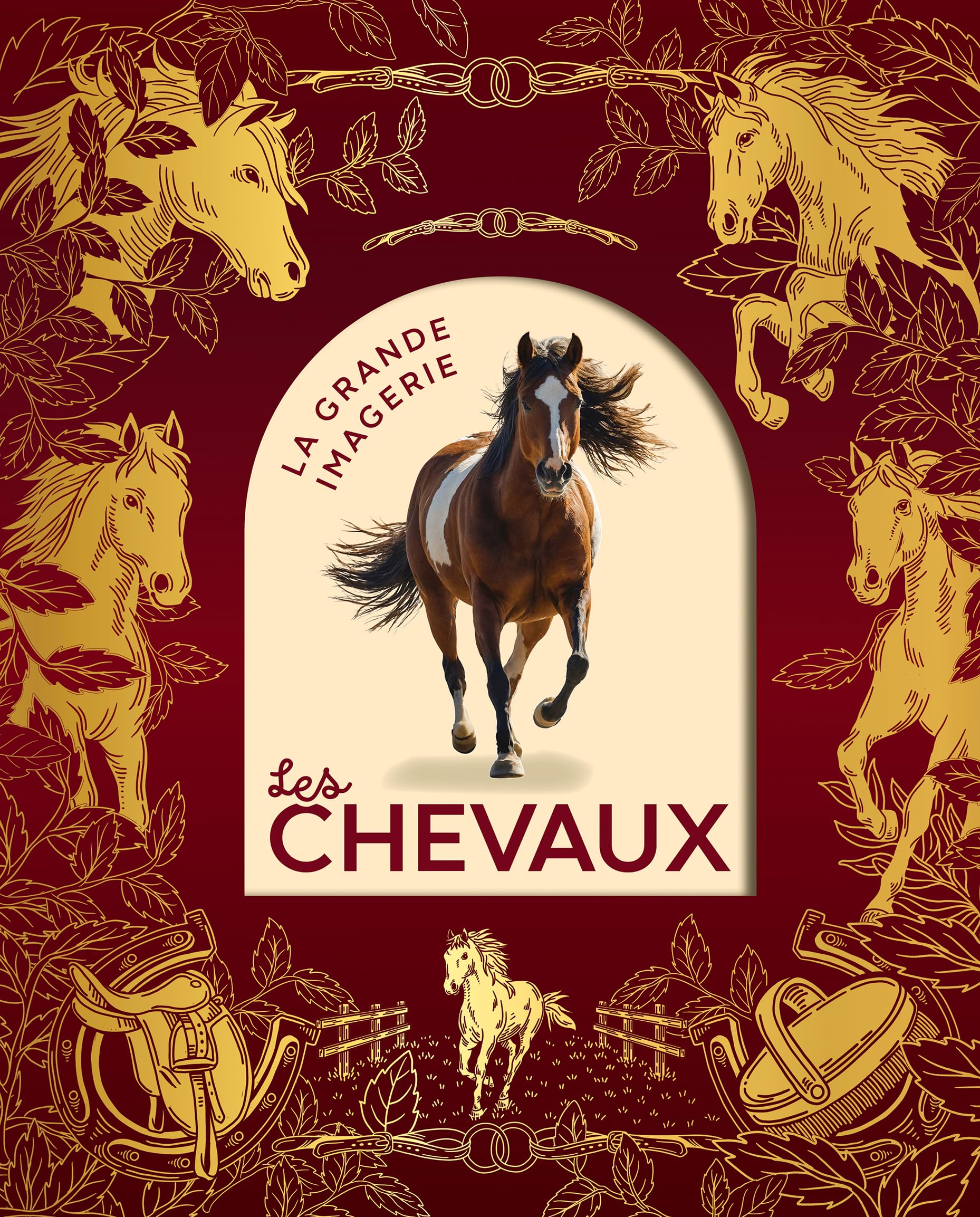 Les chevaux 9782215198031