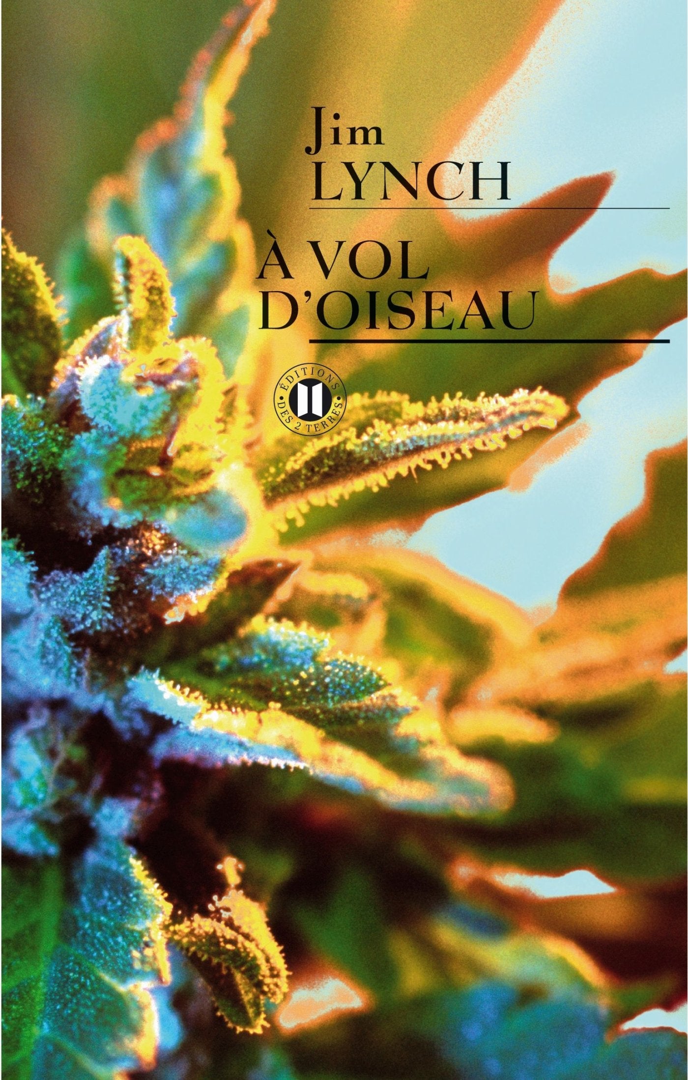 A vol d'oiseau 9782848930992