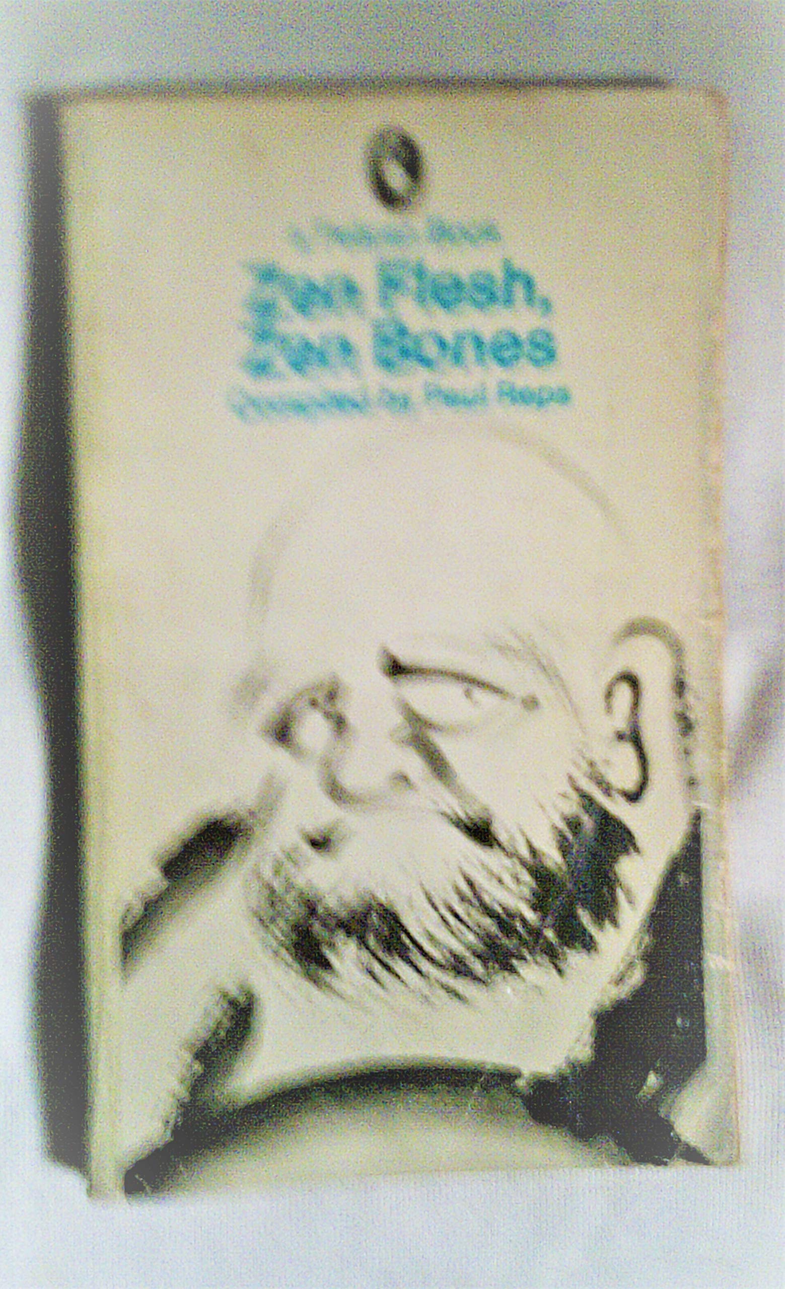 Zen Flesh, Zen Bones 9780140212839