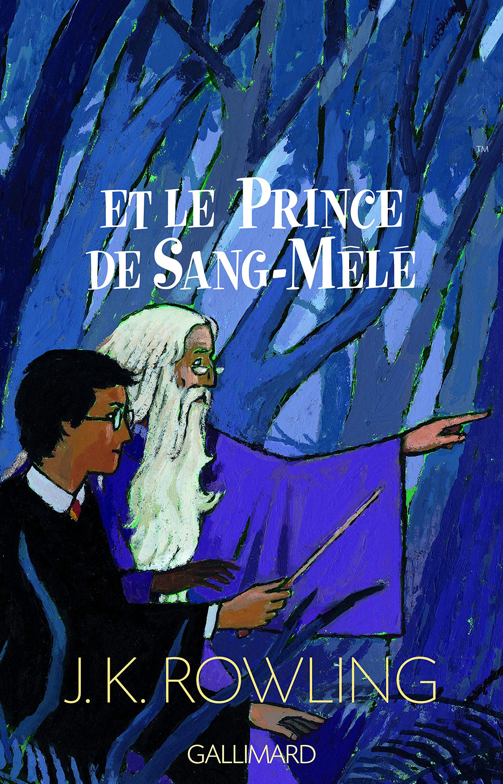 Harry Potter, tome 6 : Harry Potter et le Prince de sang mêlé 9787780038027