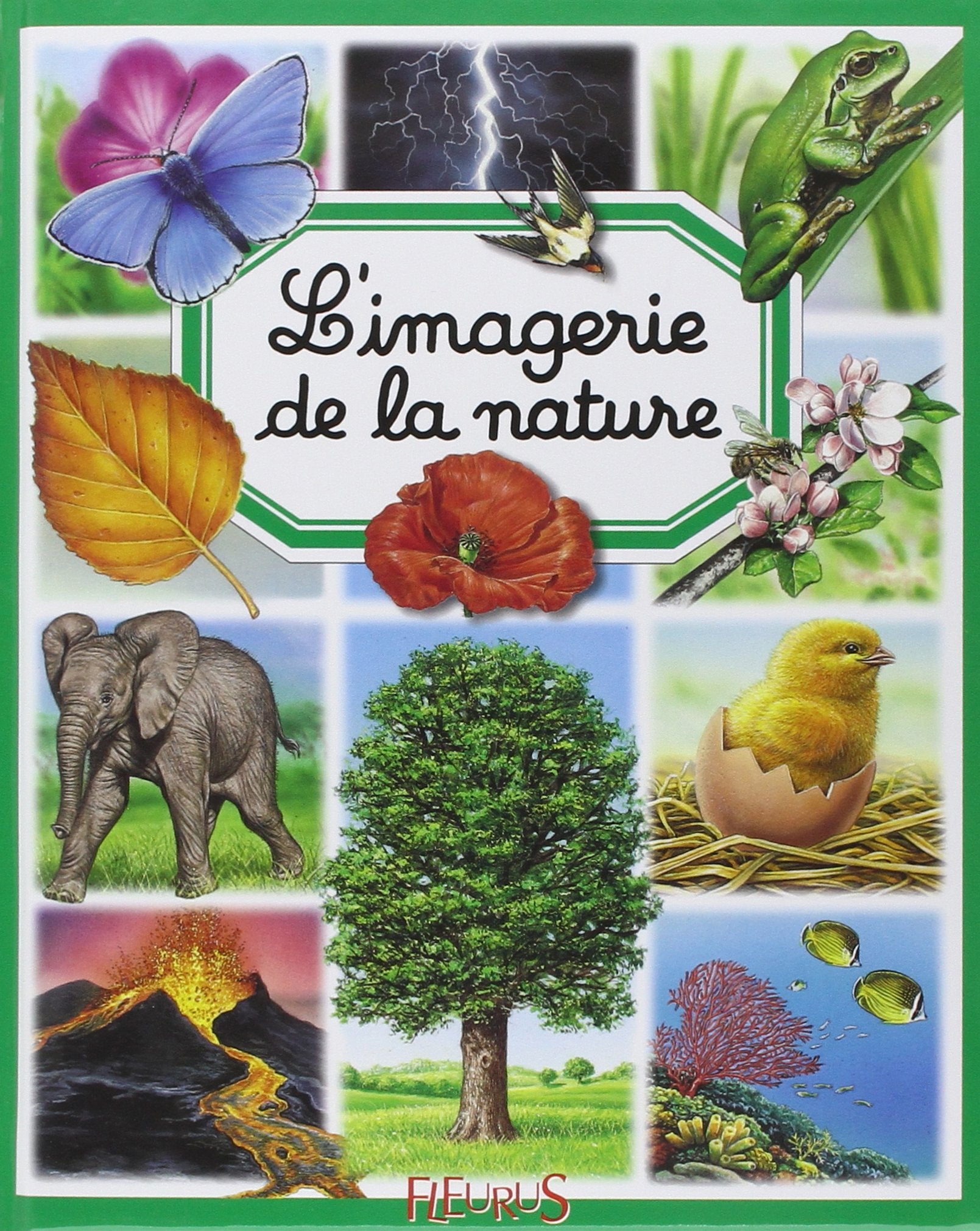 L'imagerie de la nature 9782215083382