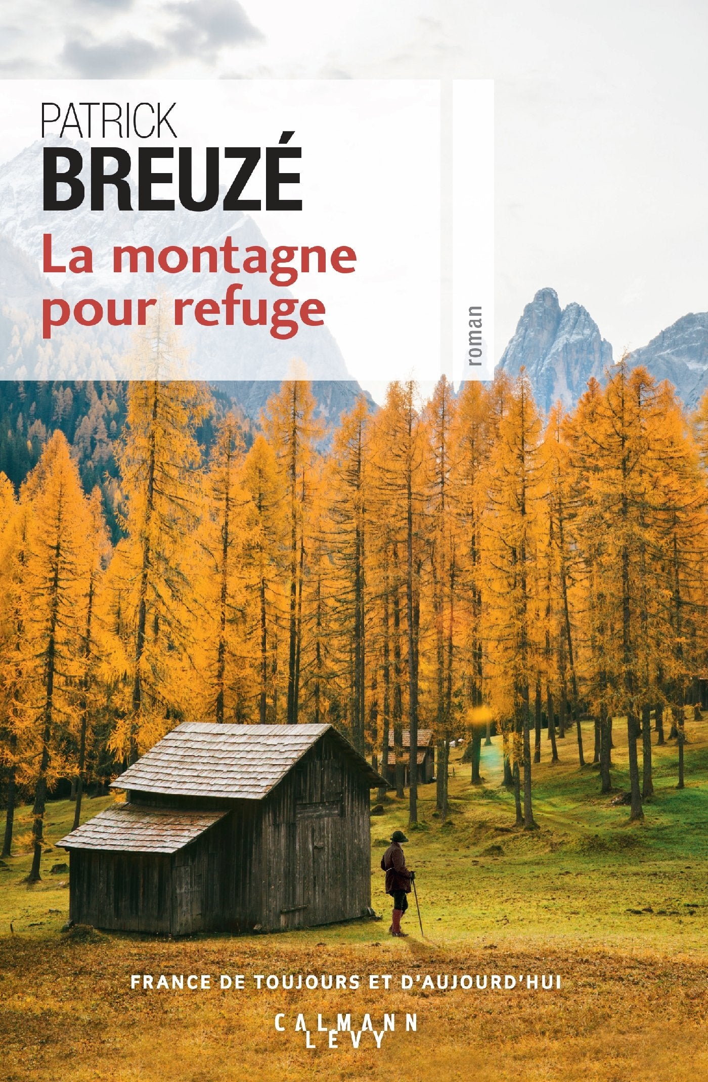 La Montagne pour refuge 9782702160589