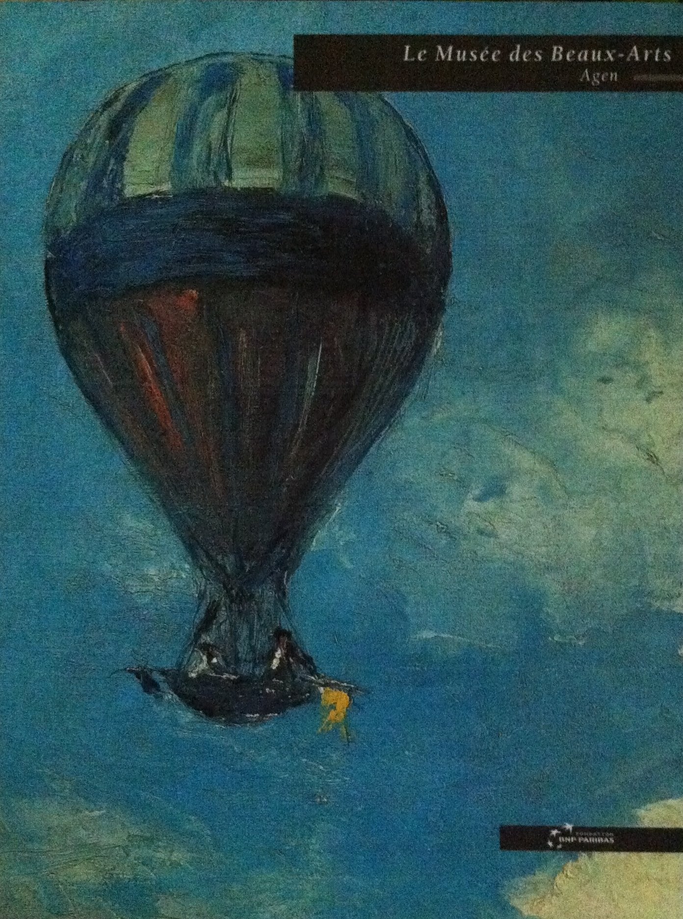 Le musée des beaux-arts d'Agen 9782711840182