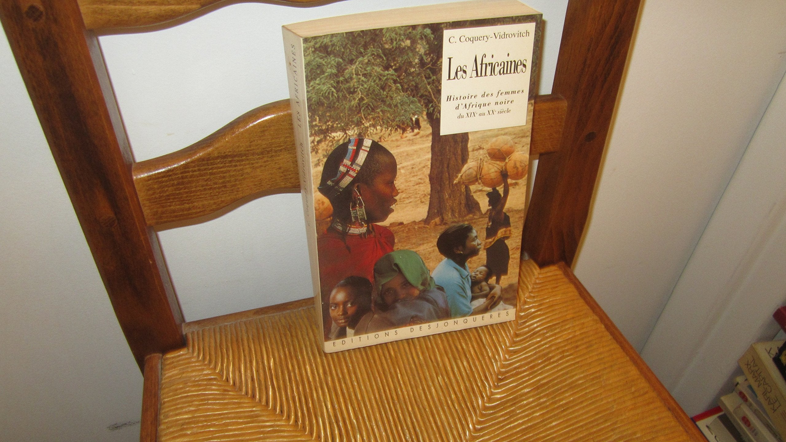 Les Africaines : Histoire des femmes d'Afrique noire du XIXe au XXe siècle 9782904227806