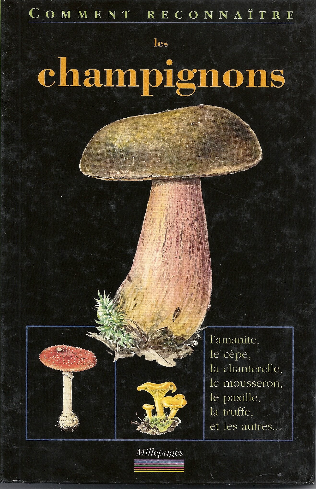 Les Champignons 9782842180386