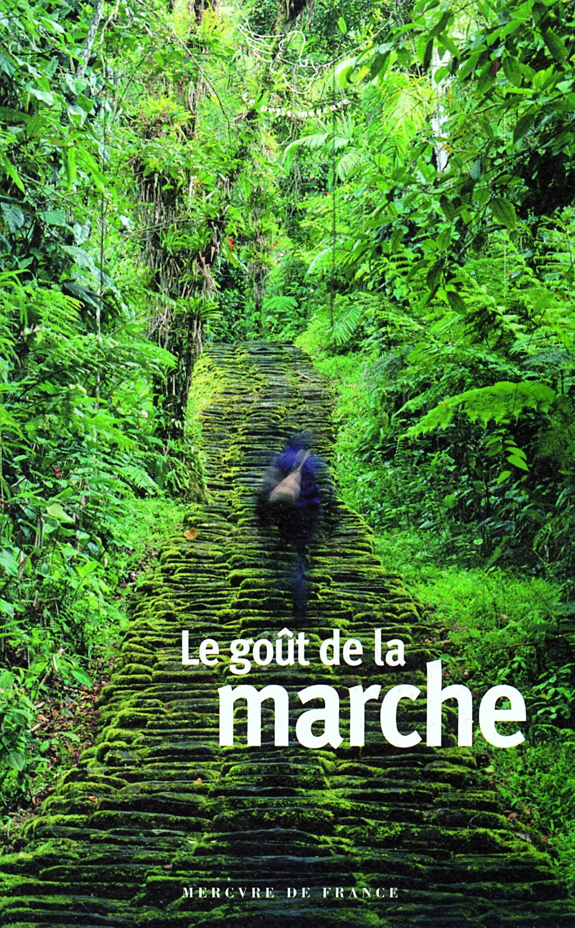 Le goût de la marche 9782715228122