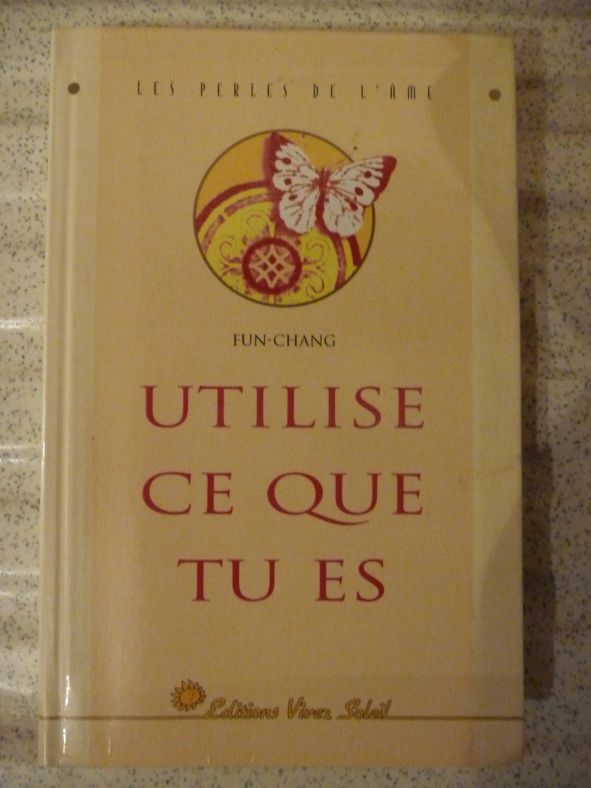 Utilise ce que tu es 9782880581428