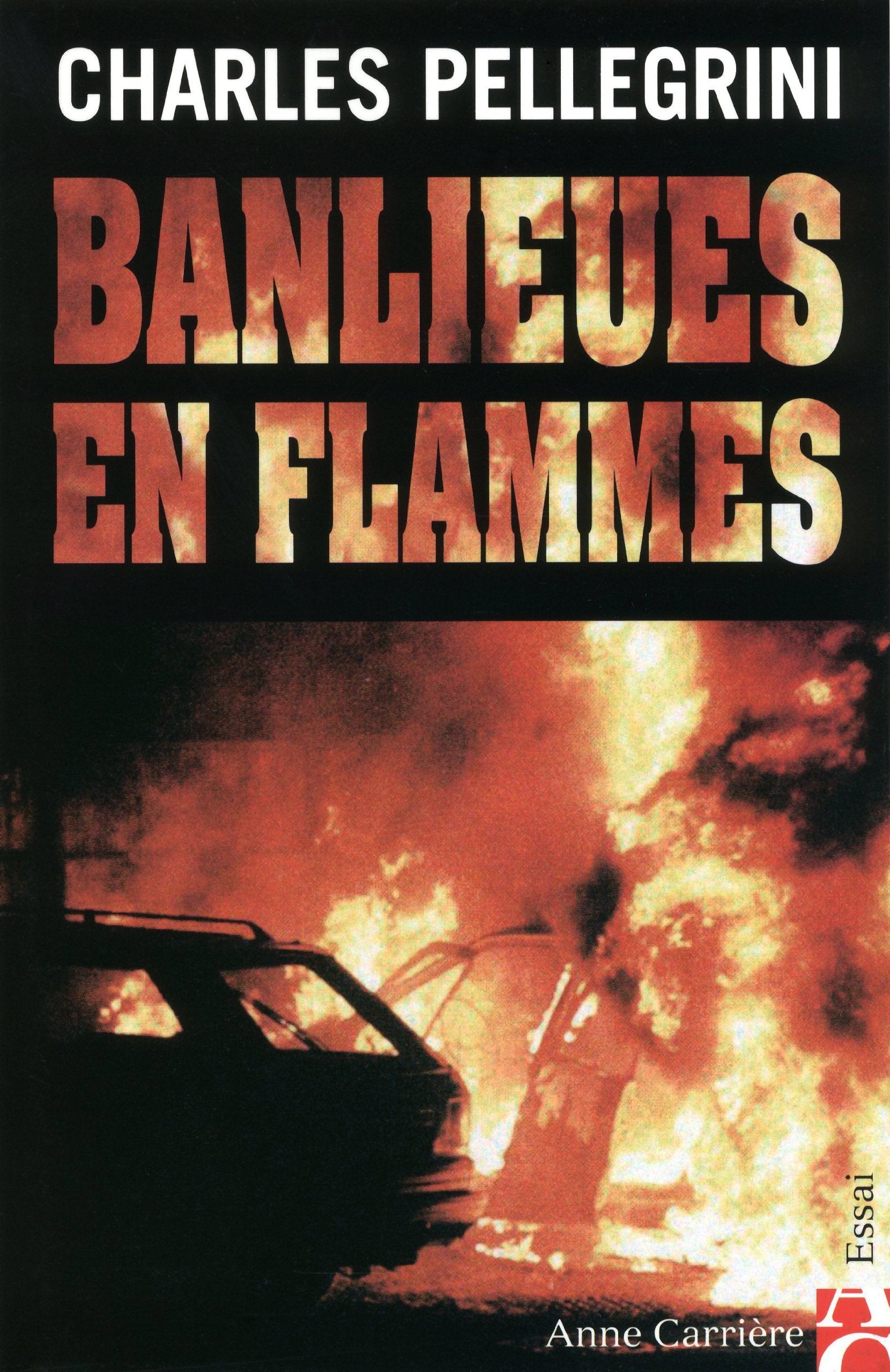 BANLIEUES EN FLAMMES 9782843373404