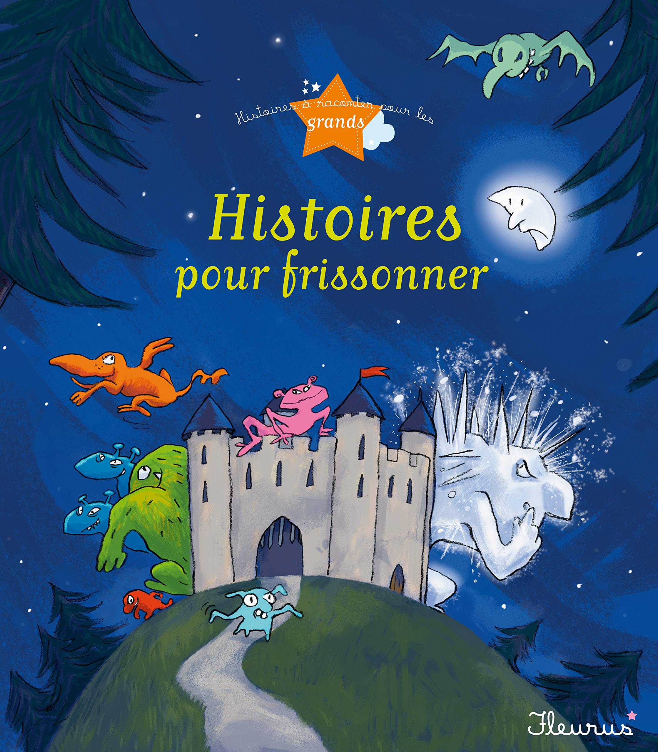 Histoires pour frissonner 9782215049371