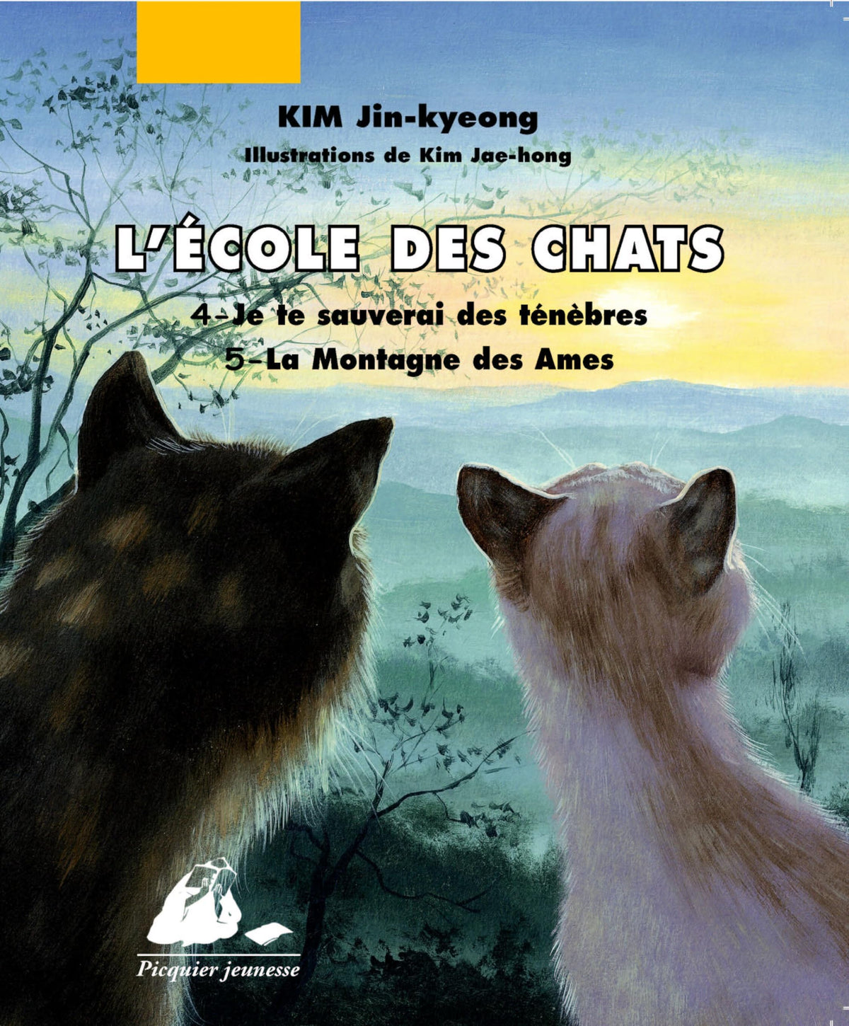 Tome 4, Je te sauverai ; Tome 5, La Montagne des Ames 9782877309776