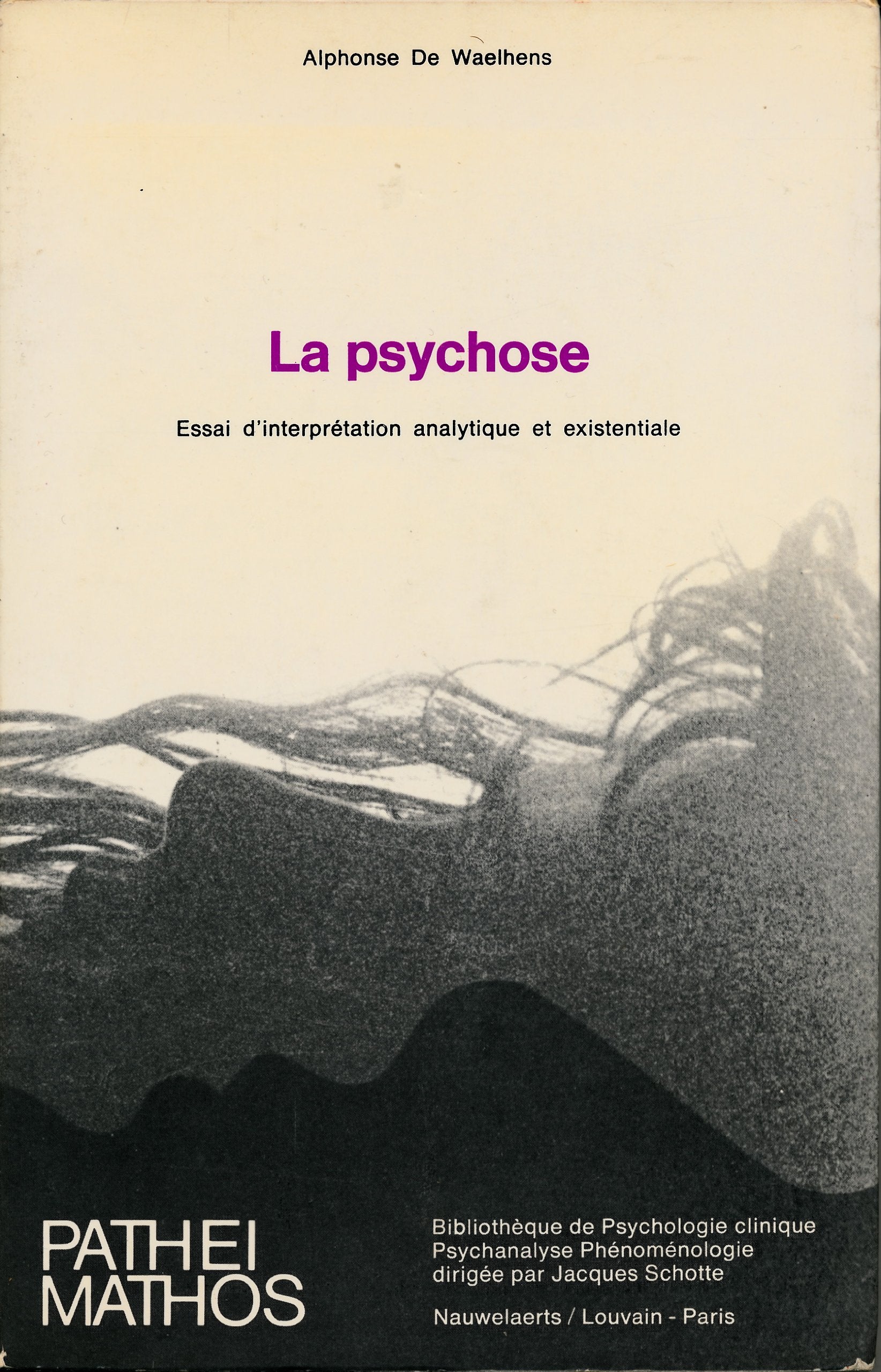 La psychose : Essai d'interprétation analytique et existentiale 