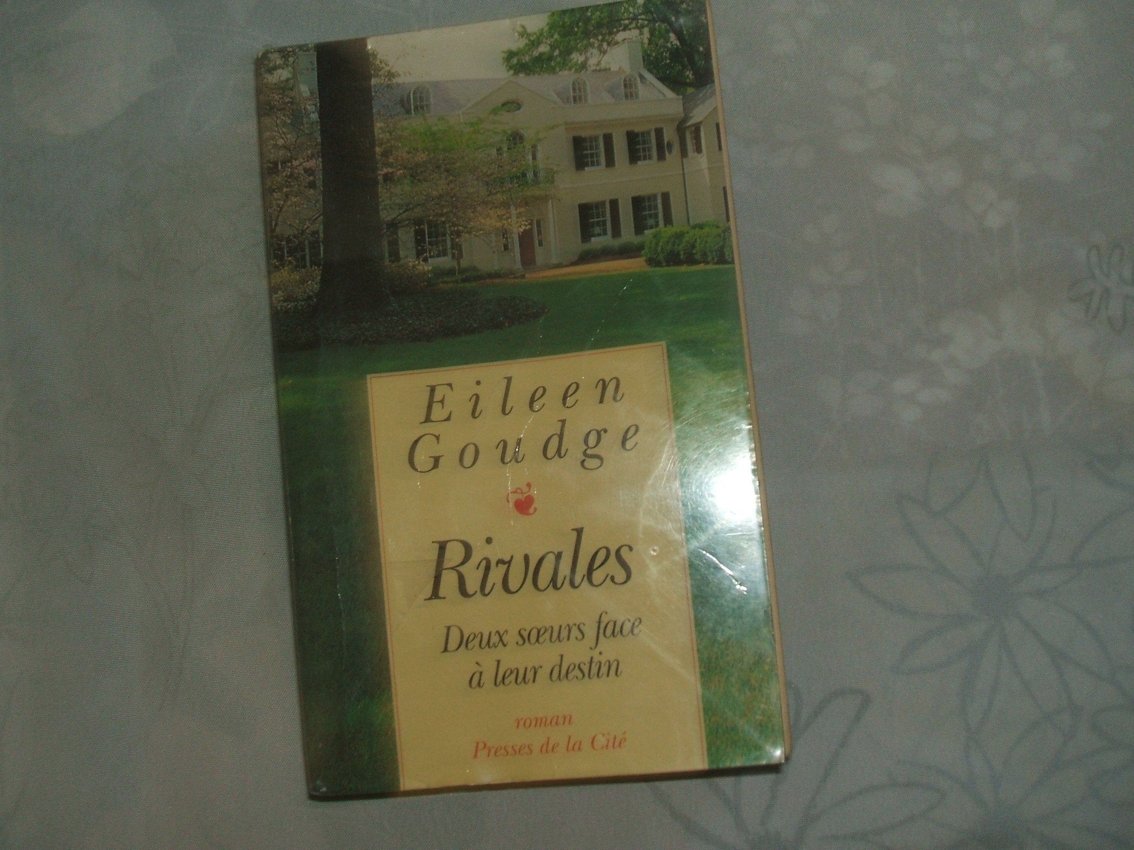 Rivales 9782258035706