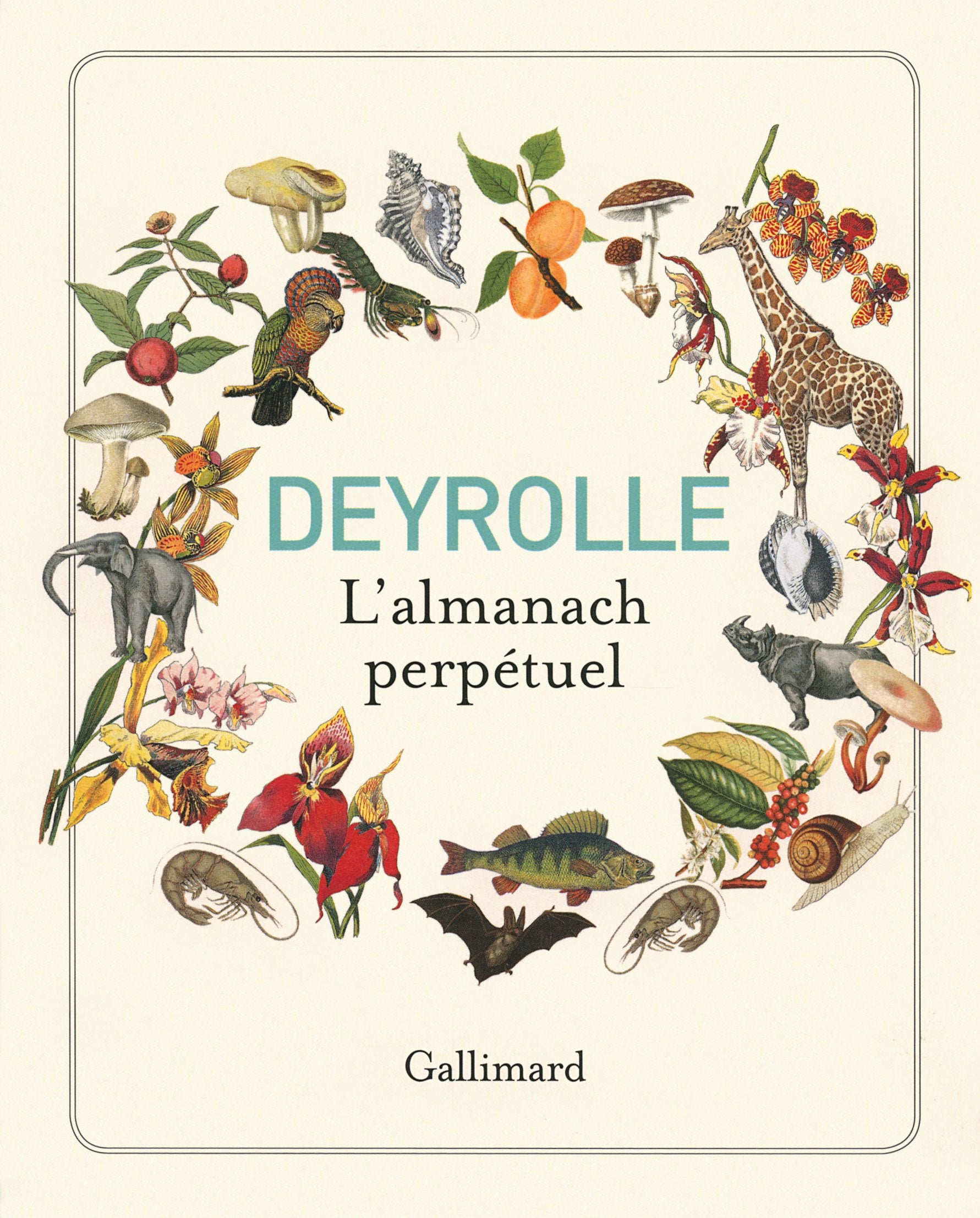 Deyrolle: L'almanach perpétuel 9782742443208