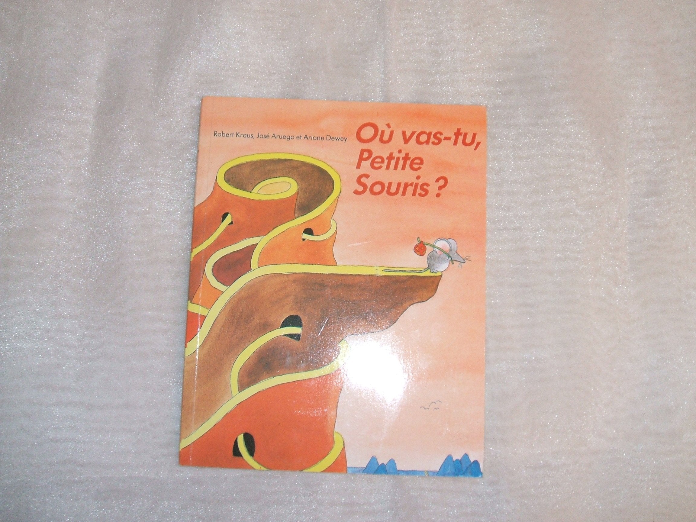 Où vas-tu petite souris ? 9782211010818