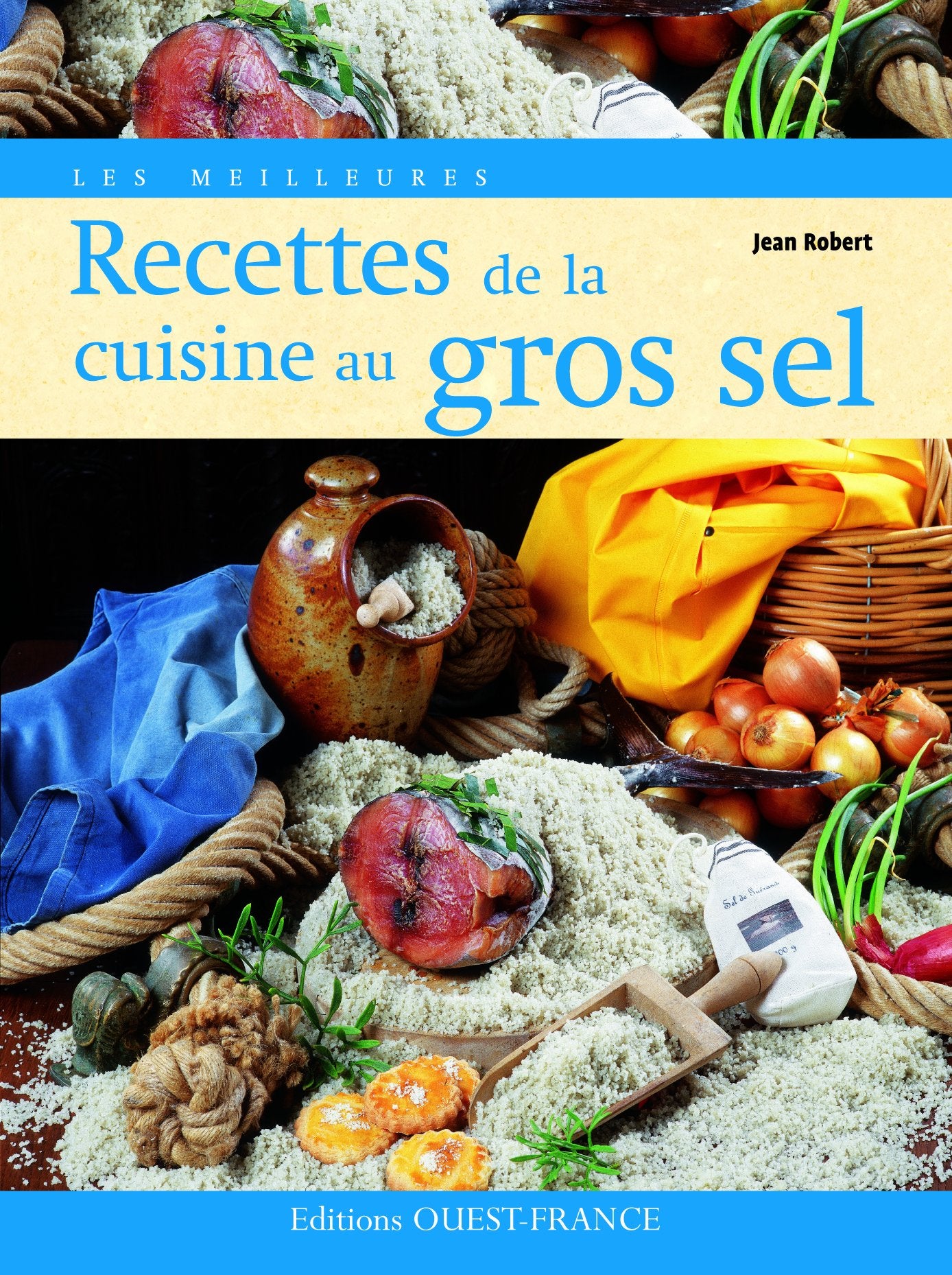 Les Meilleures Recettes de la cuisine au gros sel 9782737341748