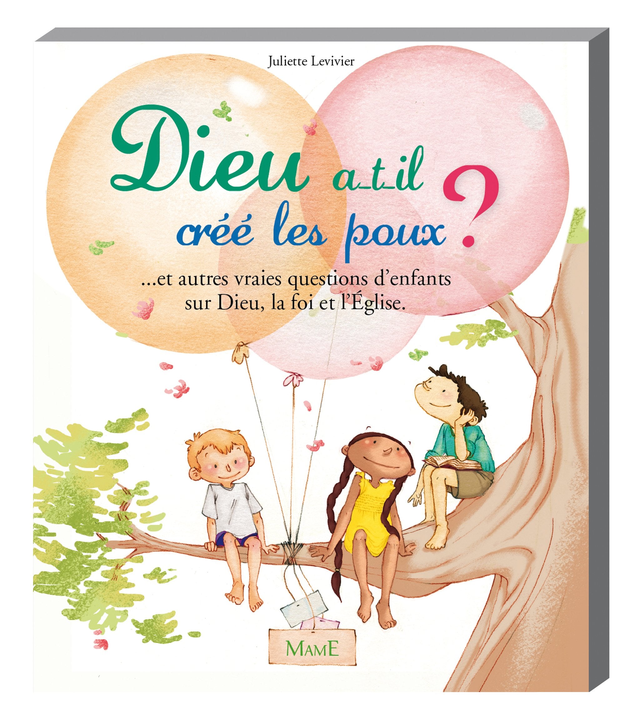Dieu a-t-il créé les poux ?... et autres vraies questions d'enfants sur Dieu, la foi et l'Eglise 9782362360015