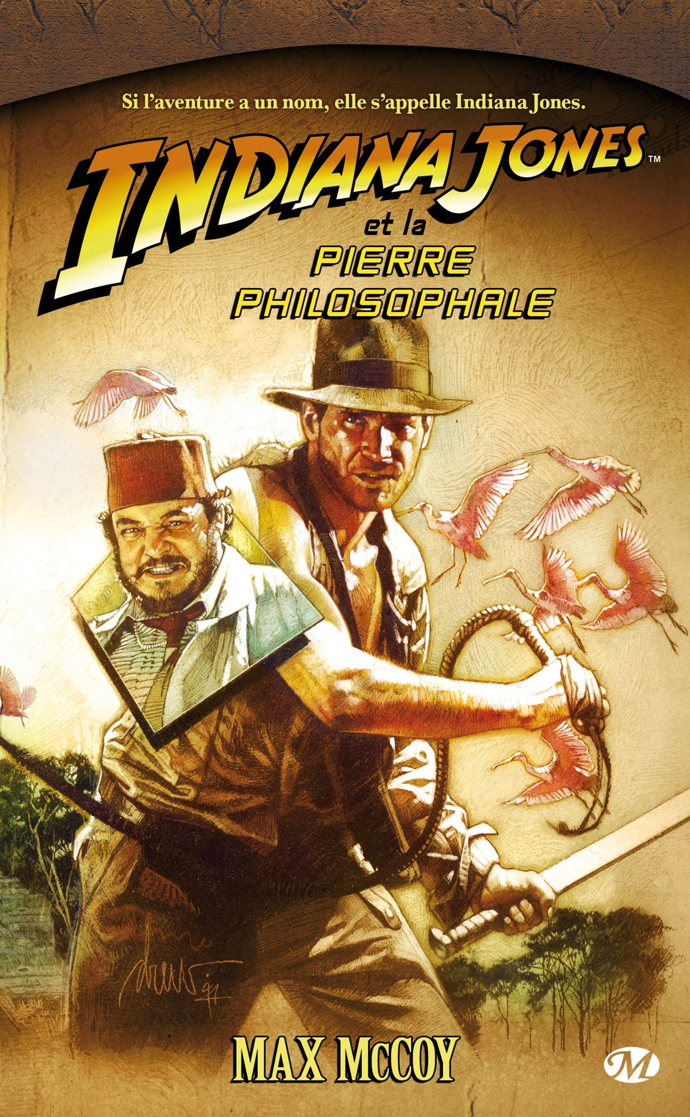 Indiana Jones, tome 9 : Indiana Jones et la pierre philosophale 9782811200343