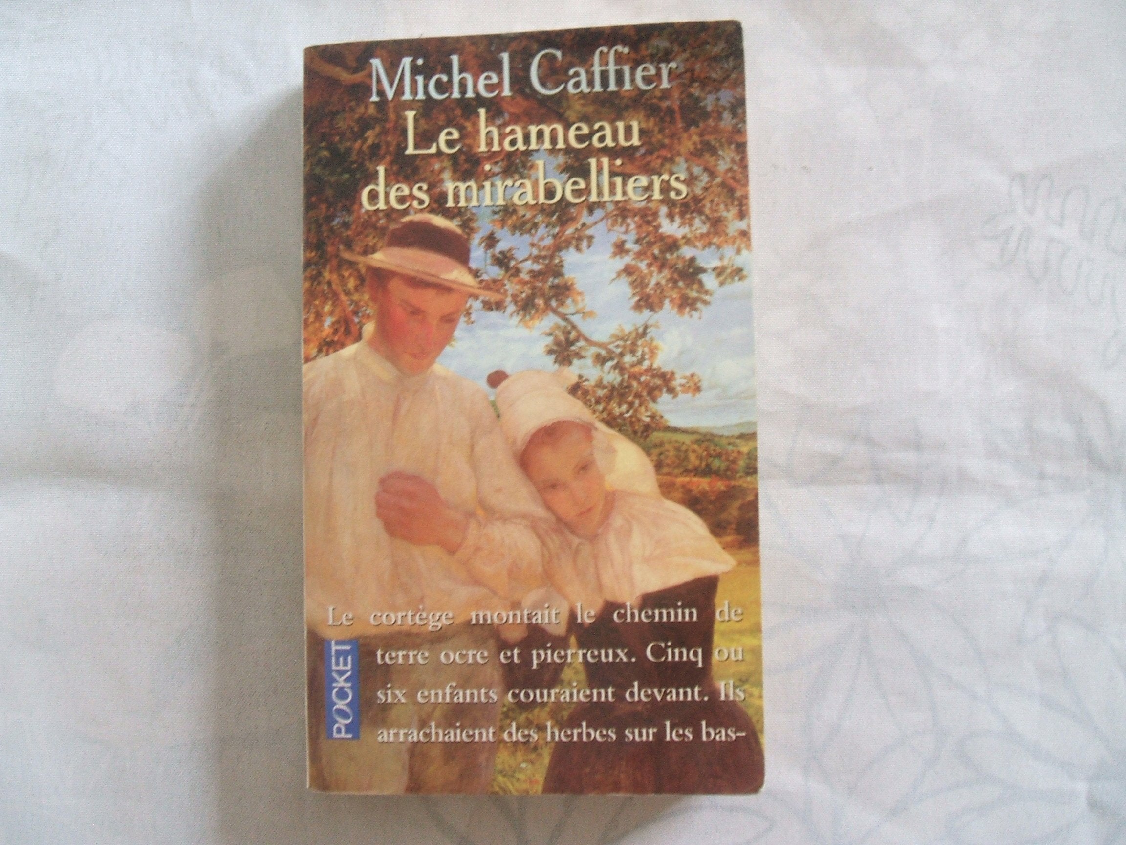 Le Hameau des mirabelliers 9782266092739