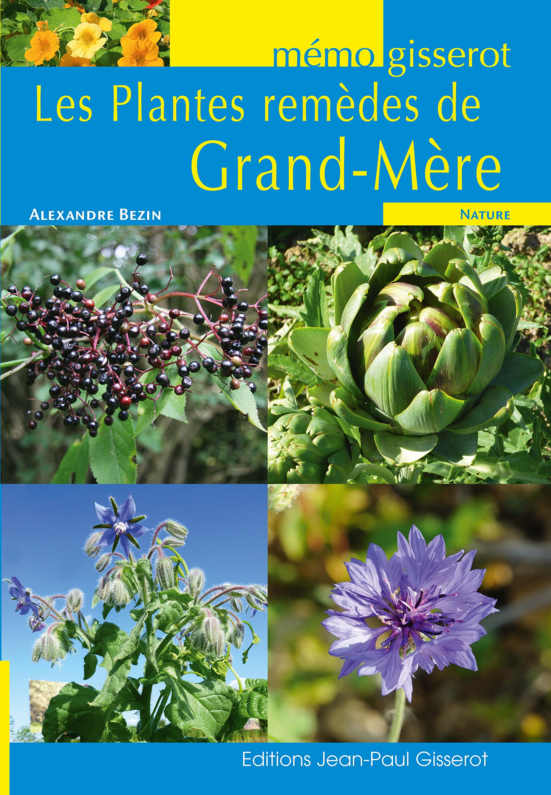 MEMO - Les Plantes remèdes de Grand Mère 9782755805277