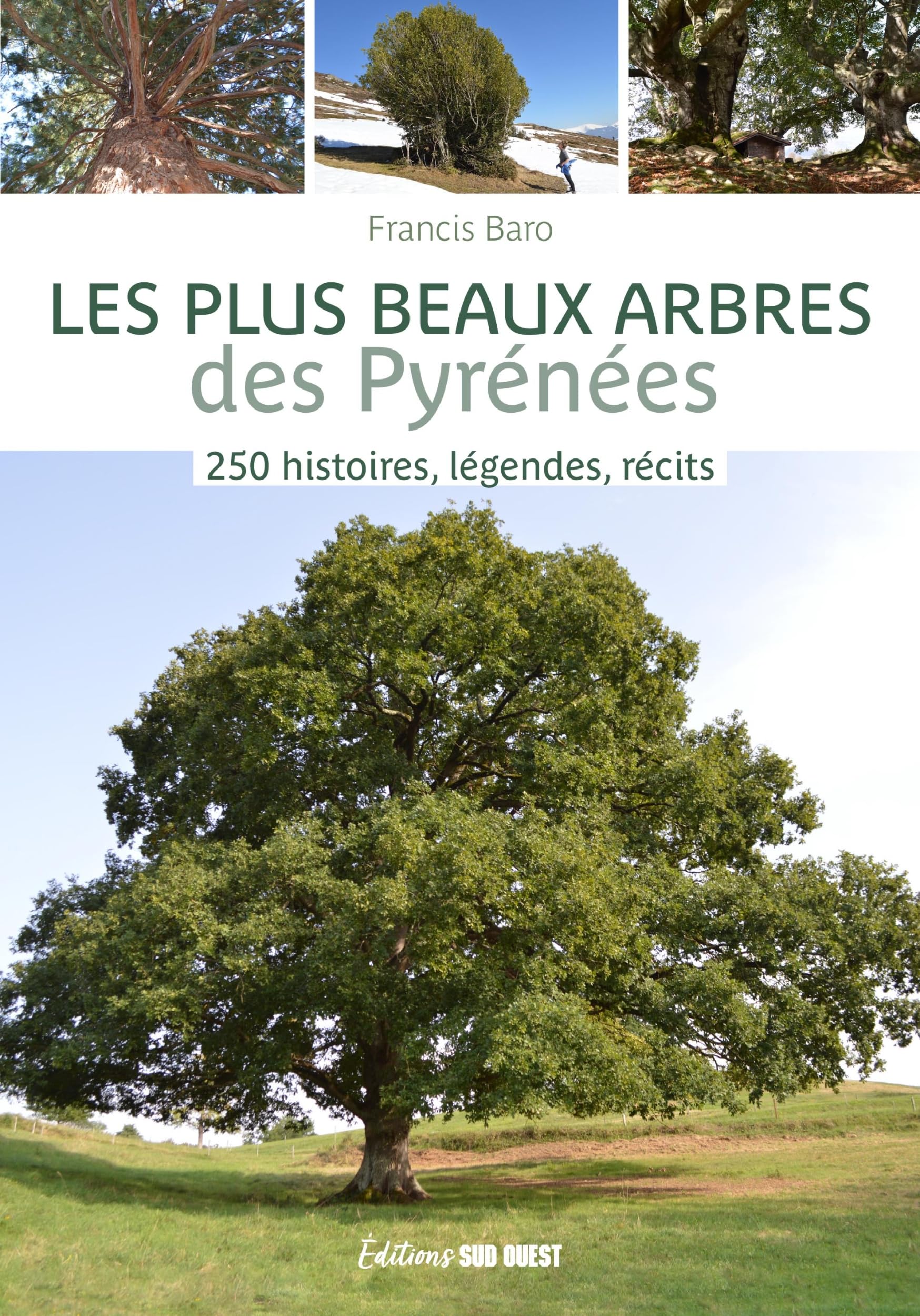 Les plus beaux arbres des Pyrénées: 250 histoires, légendes, récits 9782817710570