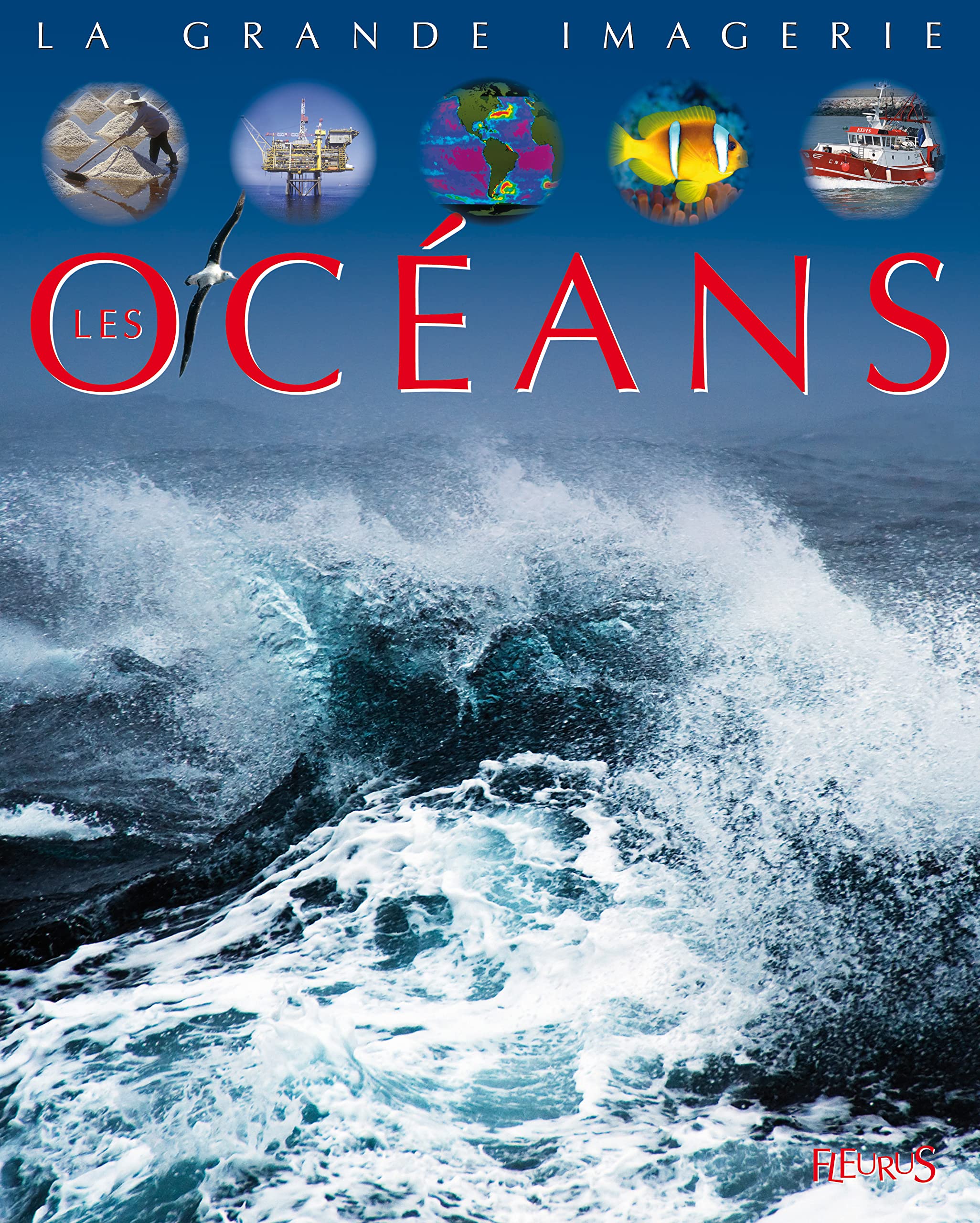 Les océans 9782215106449