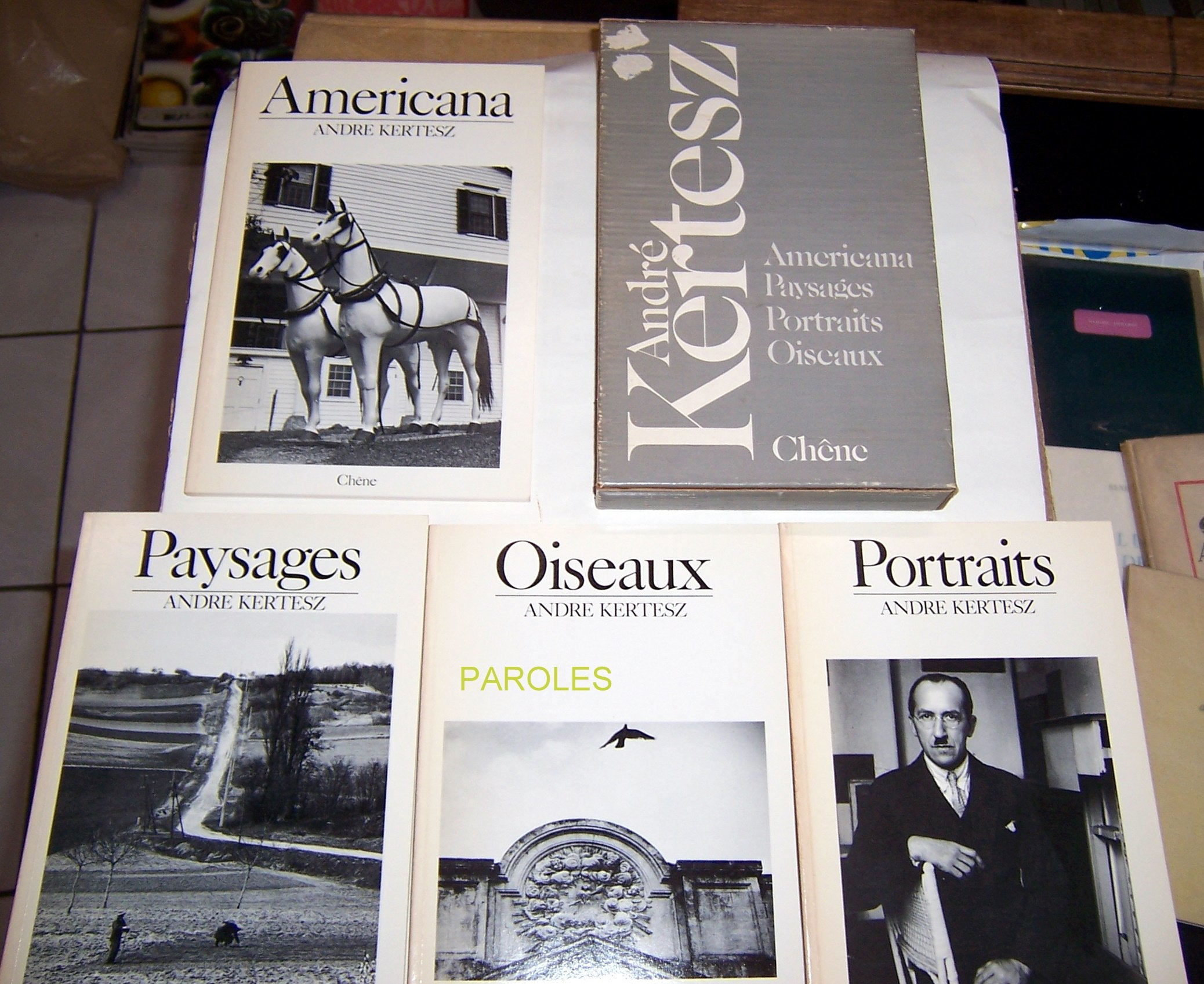 André Kertesz - Americana - Paysages - Portraits - Oiseaux. 